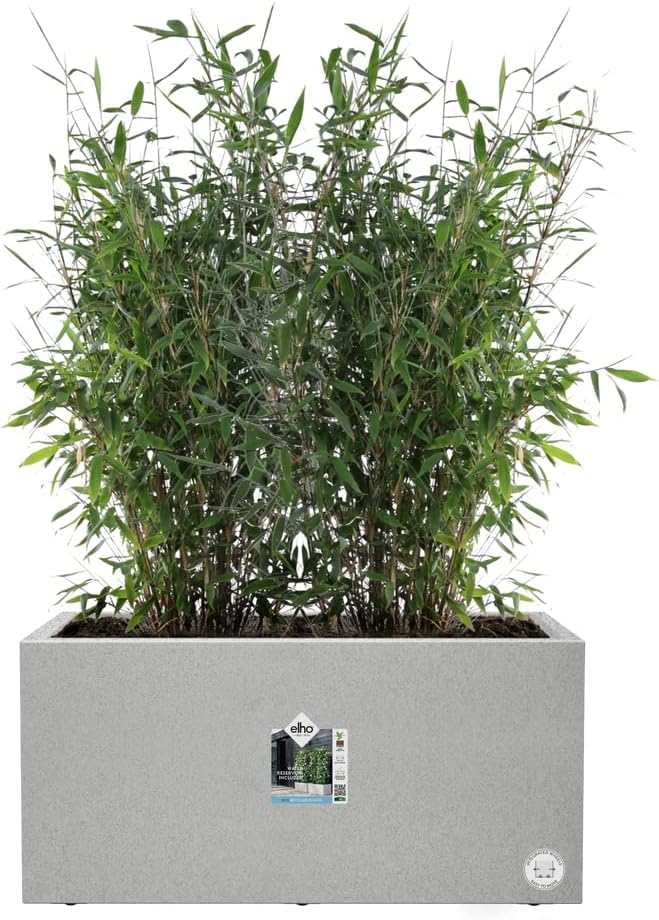 Vivo Next Long- 80cm - Living Concrete - Image 3