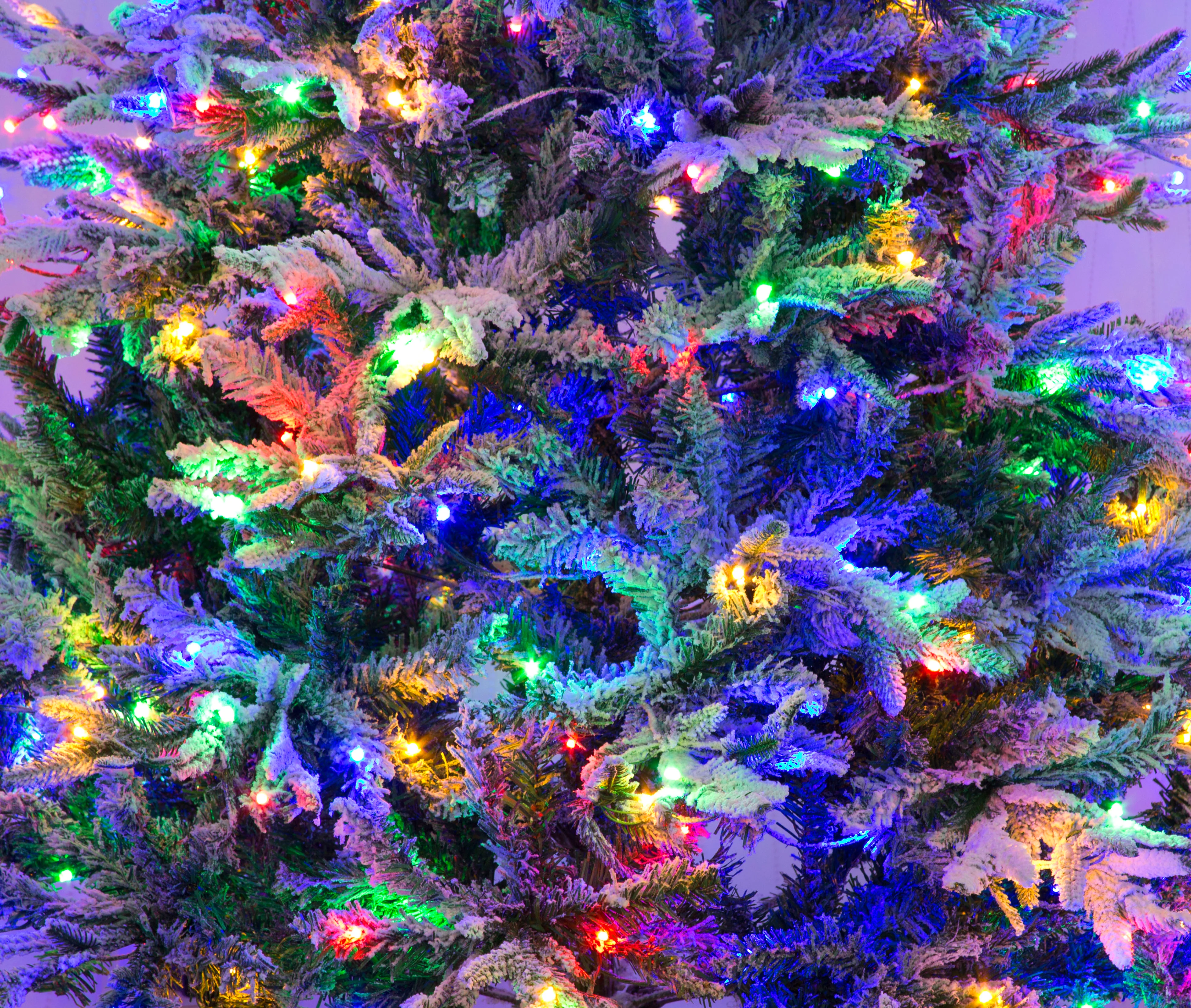 Lapland Fir Pre- Lit Christmas Tree 8ft/240cm - Multicoloured LEDs - Image 11
