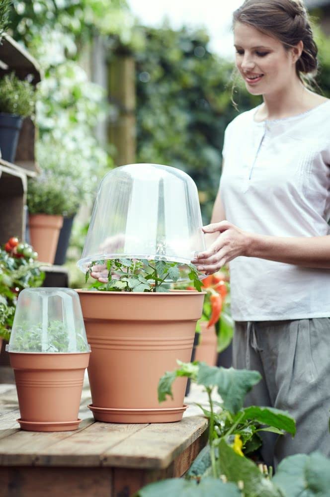 Green Basics Grow House Round 30cm Transparent - Image 3