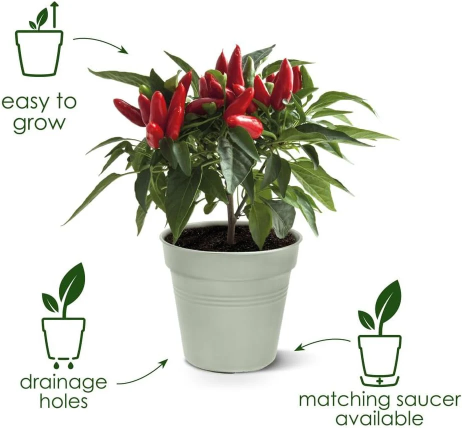 Green Basics Grow Pot 17cm - Stone Green - Image 3