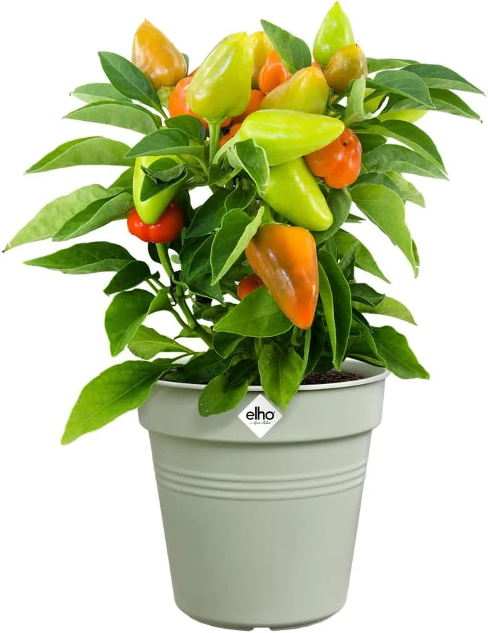 Green Basics Grow Pot 17cm - Stone Green - Image 4