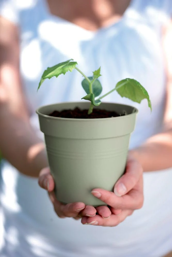 Green Basics Grow Pot 17cm - Stone Green - Image 7