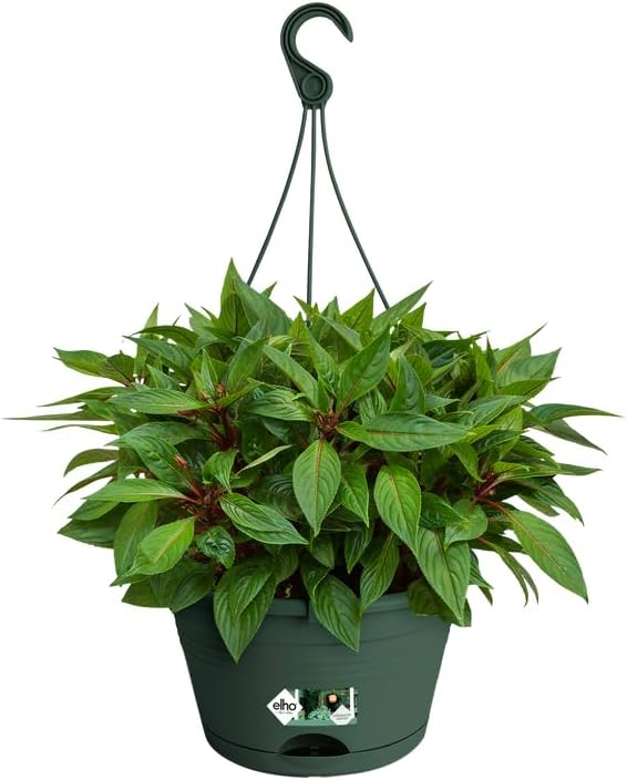 Green Basics Hanging Basket 28cm - Leaf Green - Image 5