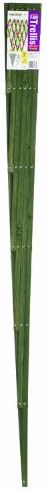 Green Fan Trellis 180 x 90cm - Image 2