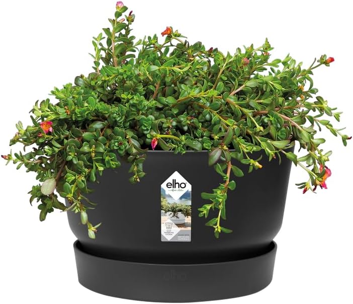 Greenville Bowl 33cm - Living Black - Image 4