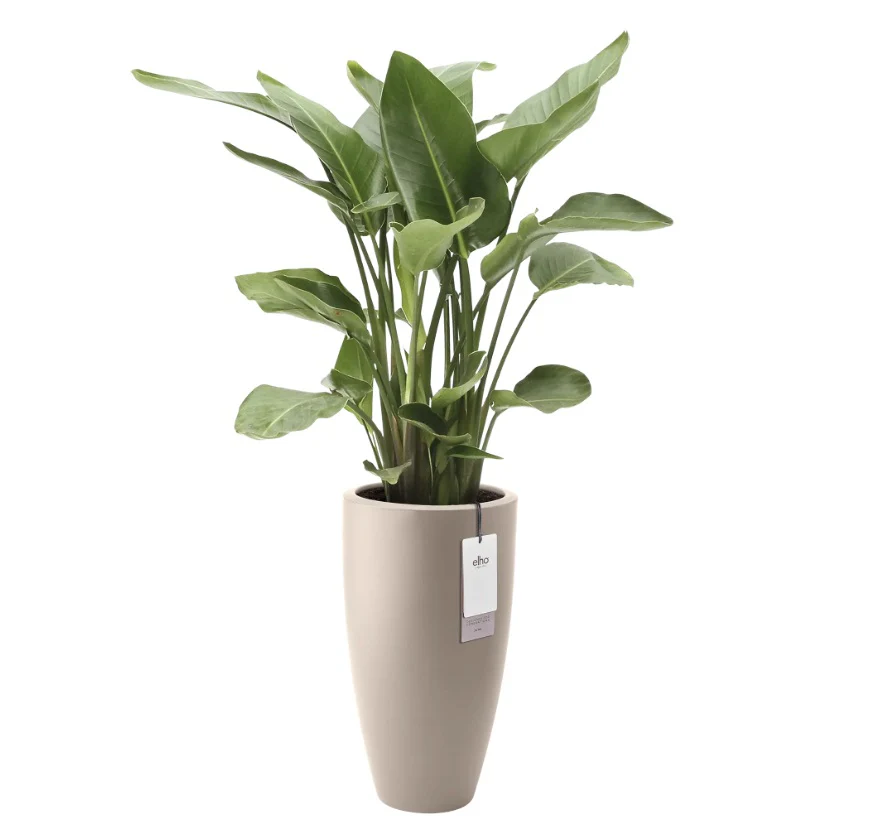 June Round High 30cm Indoor / Outdoor Plant Pot - Balanced Beige - Image 2