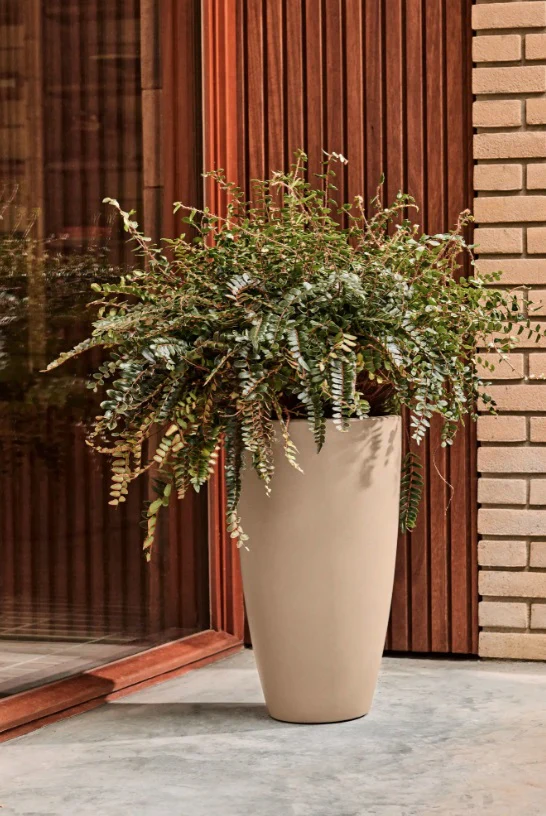 June Round High 30cm Indoor / Outdoor Plant Pot - Balanced Beige - Image 6
