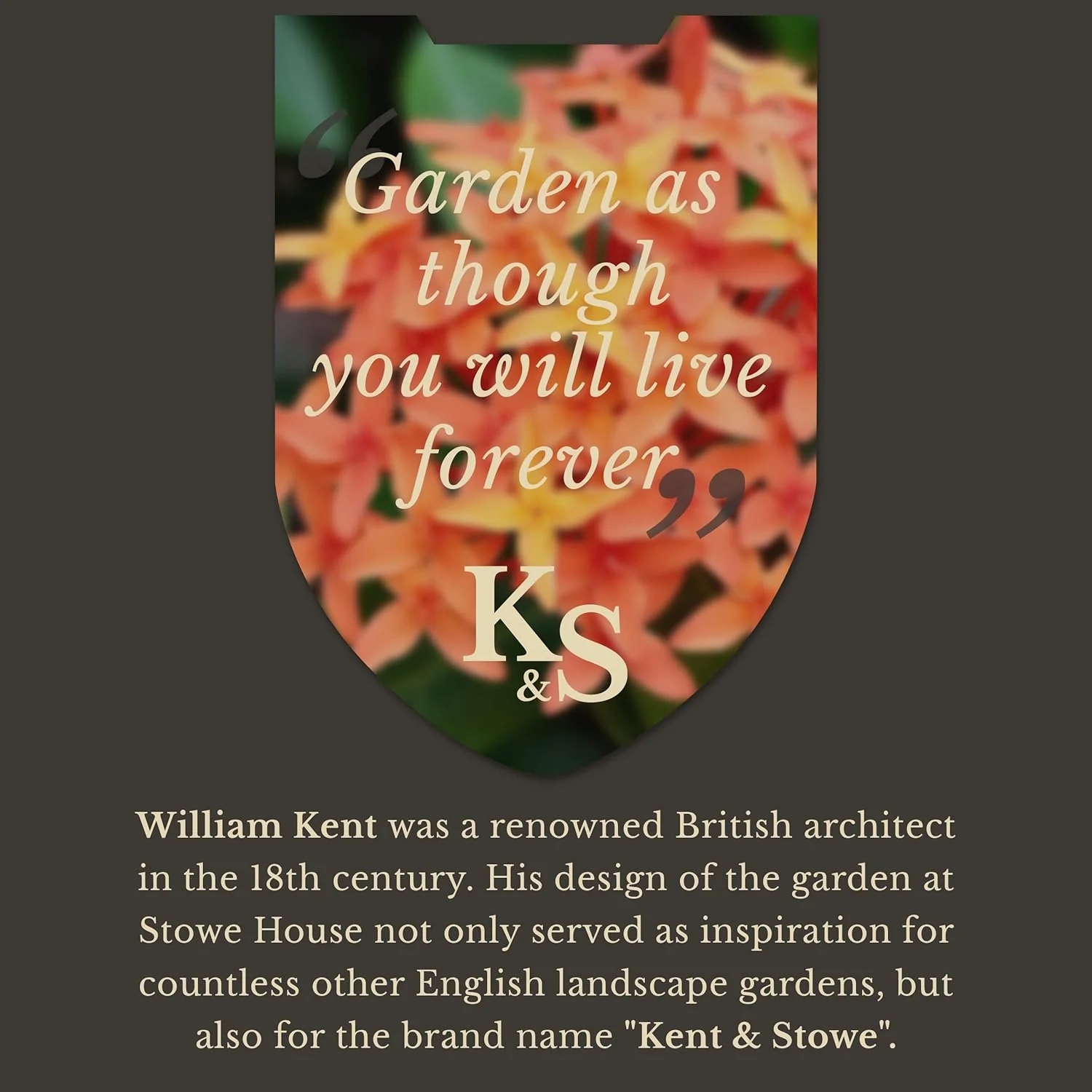 Kent & Stowe Perennial Spade - Image 4