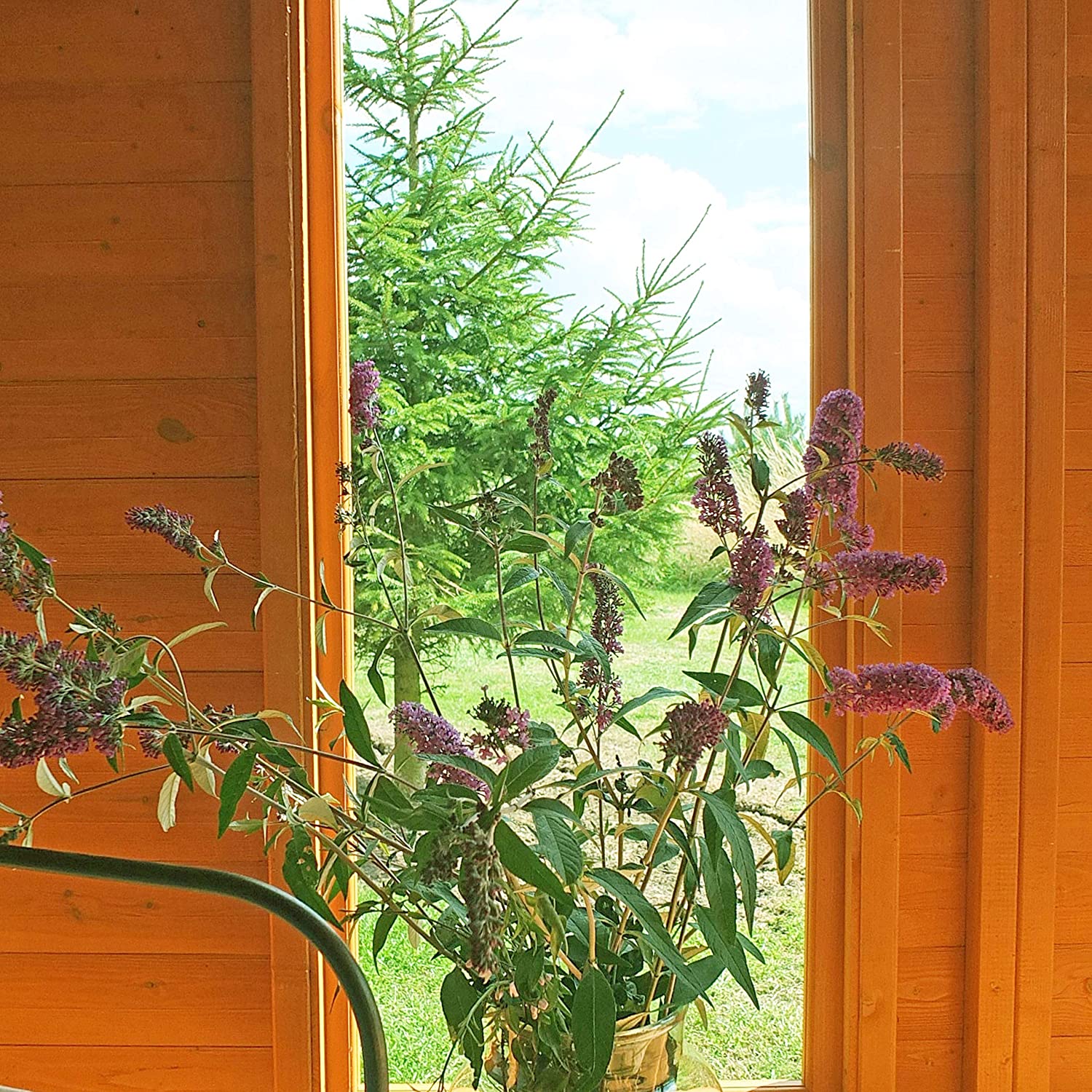 Larkspur Corner Summerhouse 7x7 - Image 5