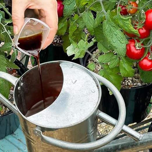 Levington Tomorite Concentrated Tomato Food 1.2L - Image 3
