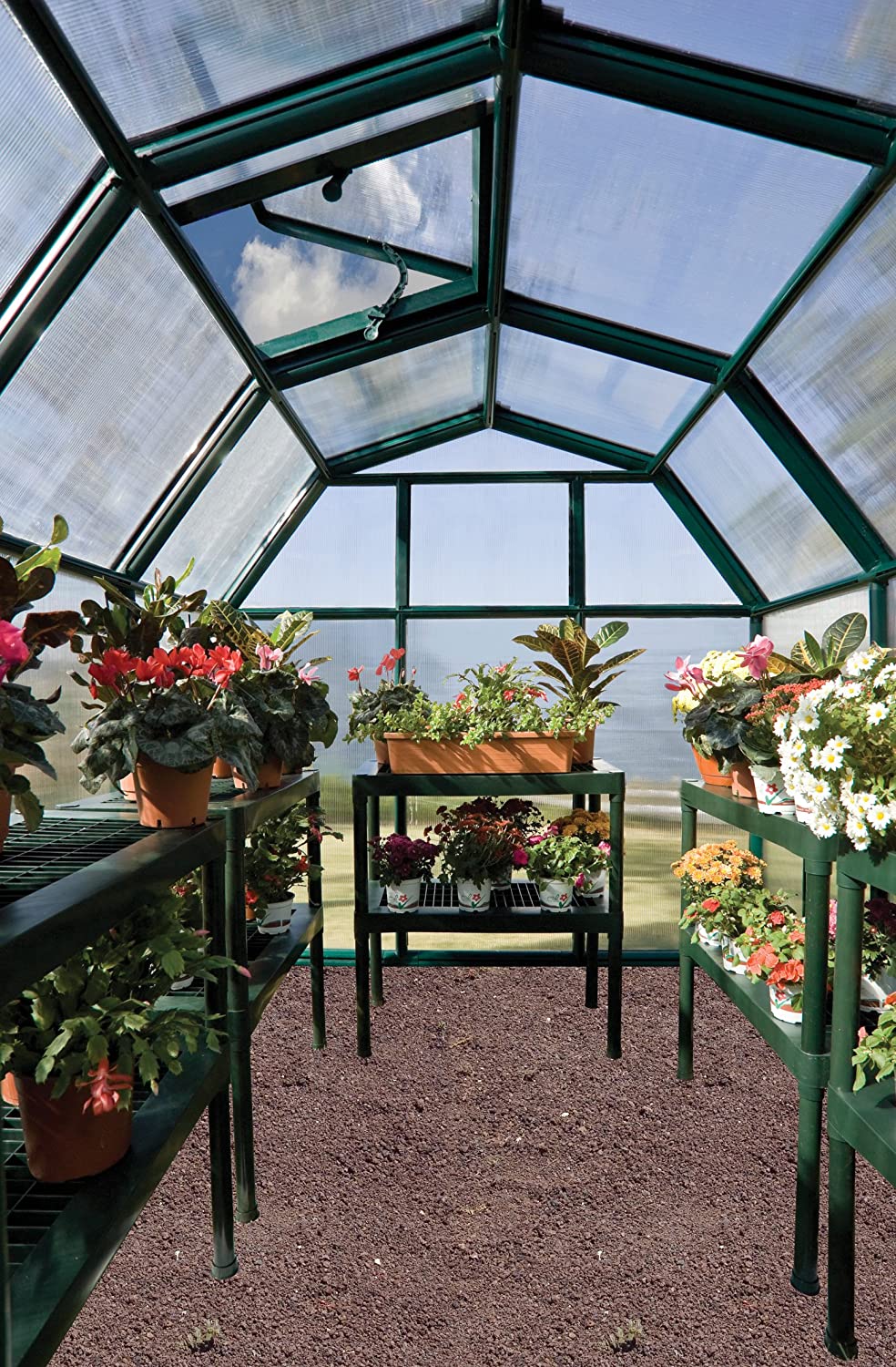 Eco Grow 6' x 10' Greenhouse - Green Frame & Twinwall Polycarbonate Panels - Image 2