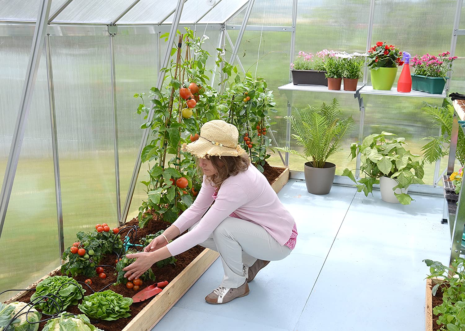 Essence 8' x 12' Greenhouse - Silver Frame & Twinwall Polycarbonate Panels - Image 2