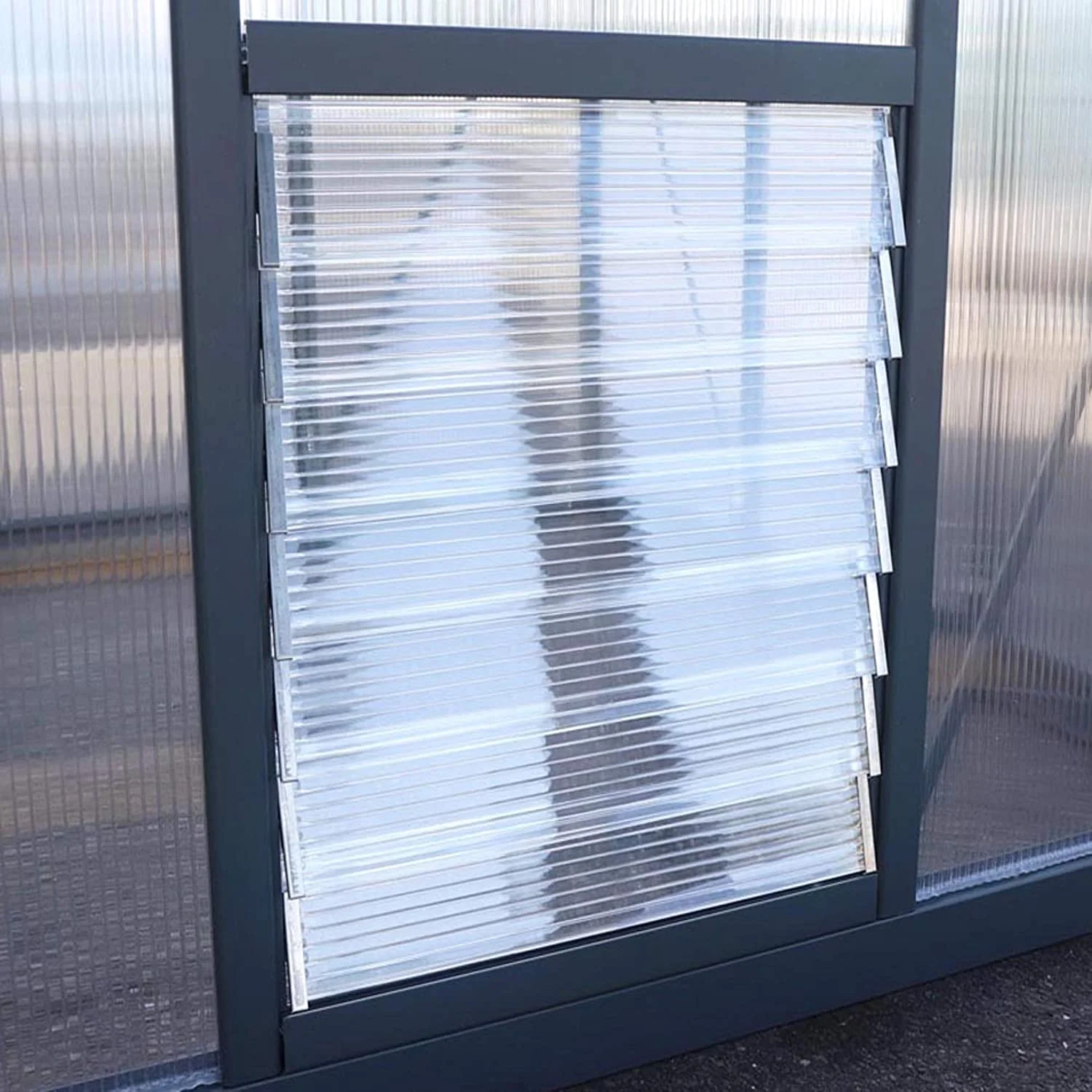Glory 8' x 20' Greenhouse - Grey Frame & Multiwall Polycarbonate Panels - Image 15