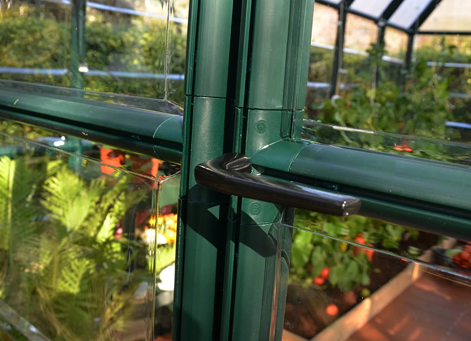 Grand Gardener 8' x 8' Greenhouse - Green Frame & Hybrid Polycarbonate Panels - Image 2