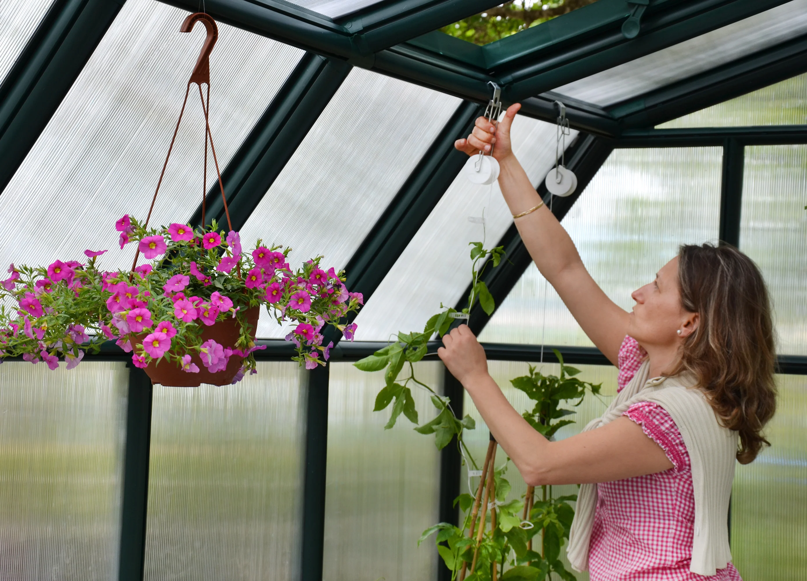 Hobby Gardener 8' x 8' Greenhouse - Green Frame & Twinwall Polycarbonate Panels - Image 10