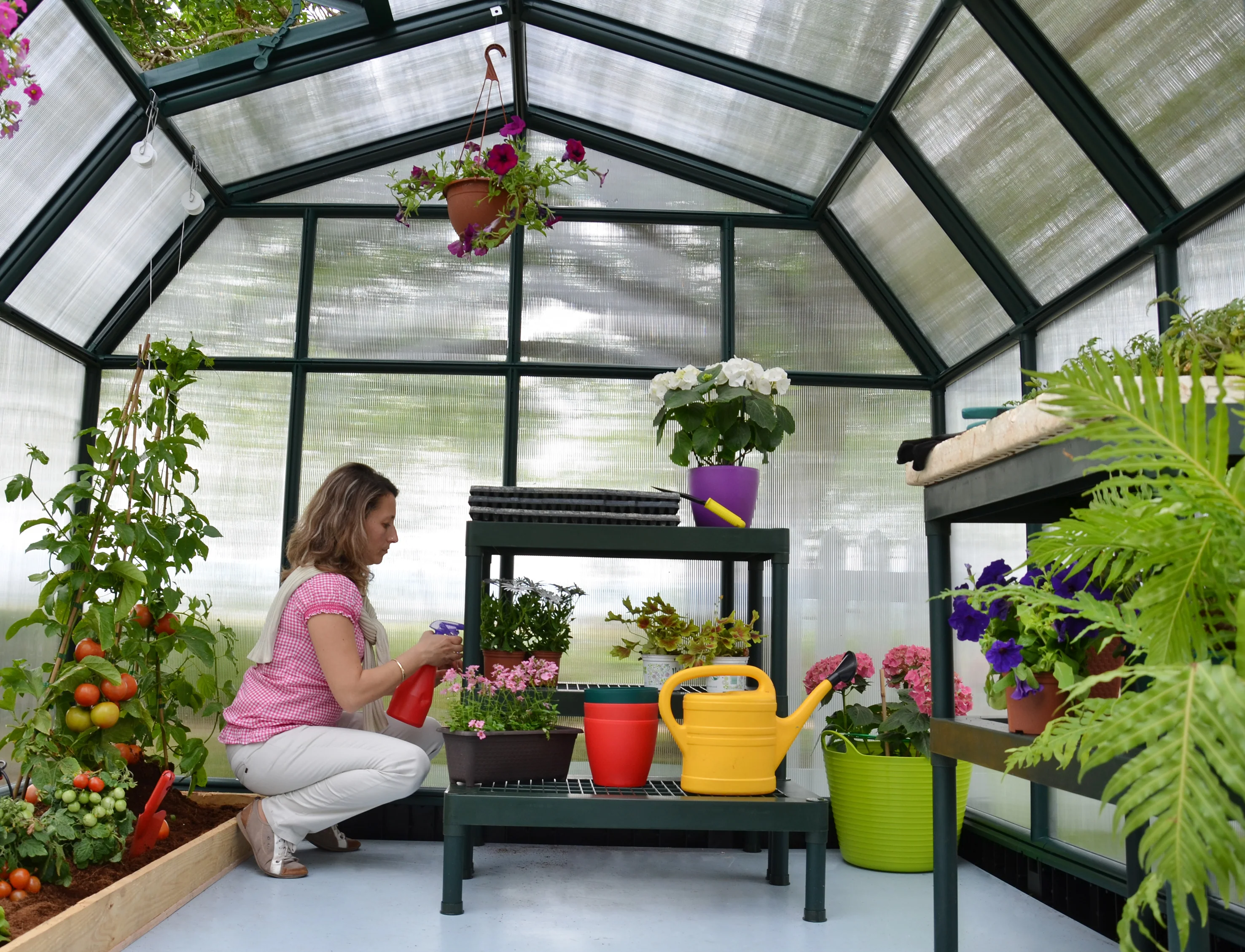 Hobby Gardener 8' x 8' Greenhouse - Green Frame & Twinwall Polycarbonate Panels - Image 2