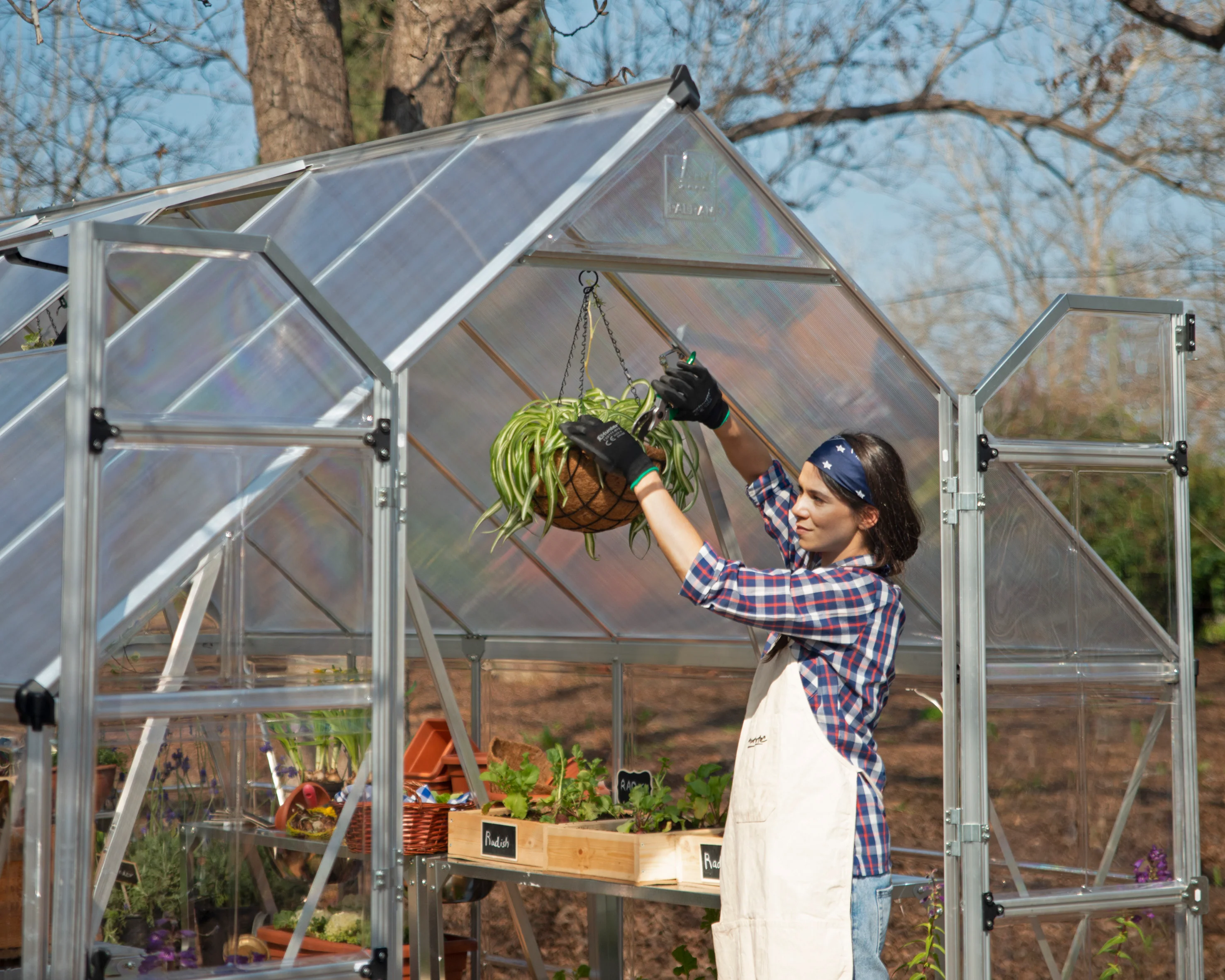 Balance 8' x 12' Greenhouse - Silver Frame & Hybrid Polycarbonate Panels - Image 15