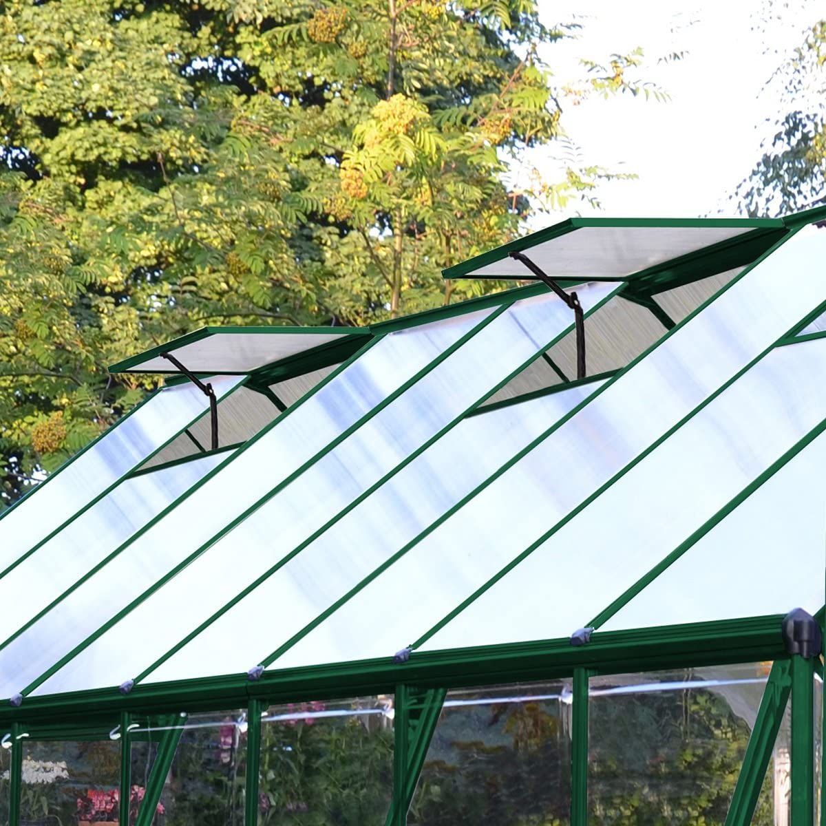Balance 8' x 20' Greenhouse - Green Frame & Hybrid Polycarbonate Panels - Image 2