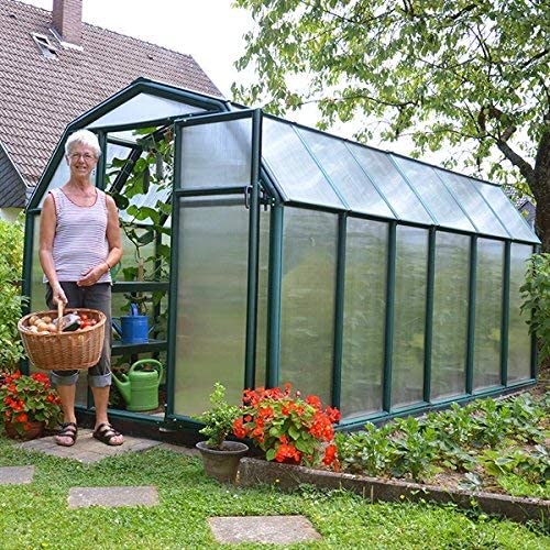 Eco Grow 6' x 12' Greenhouse - Green Frame & Twinwall Polycarbonate Panels - Image 3