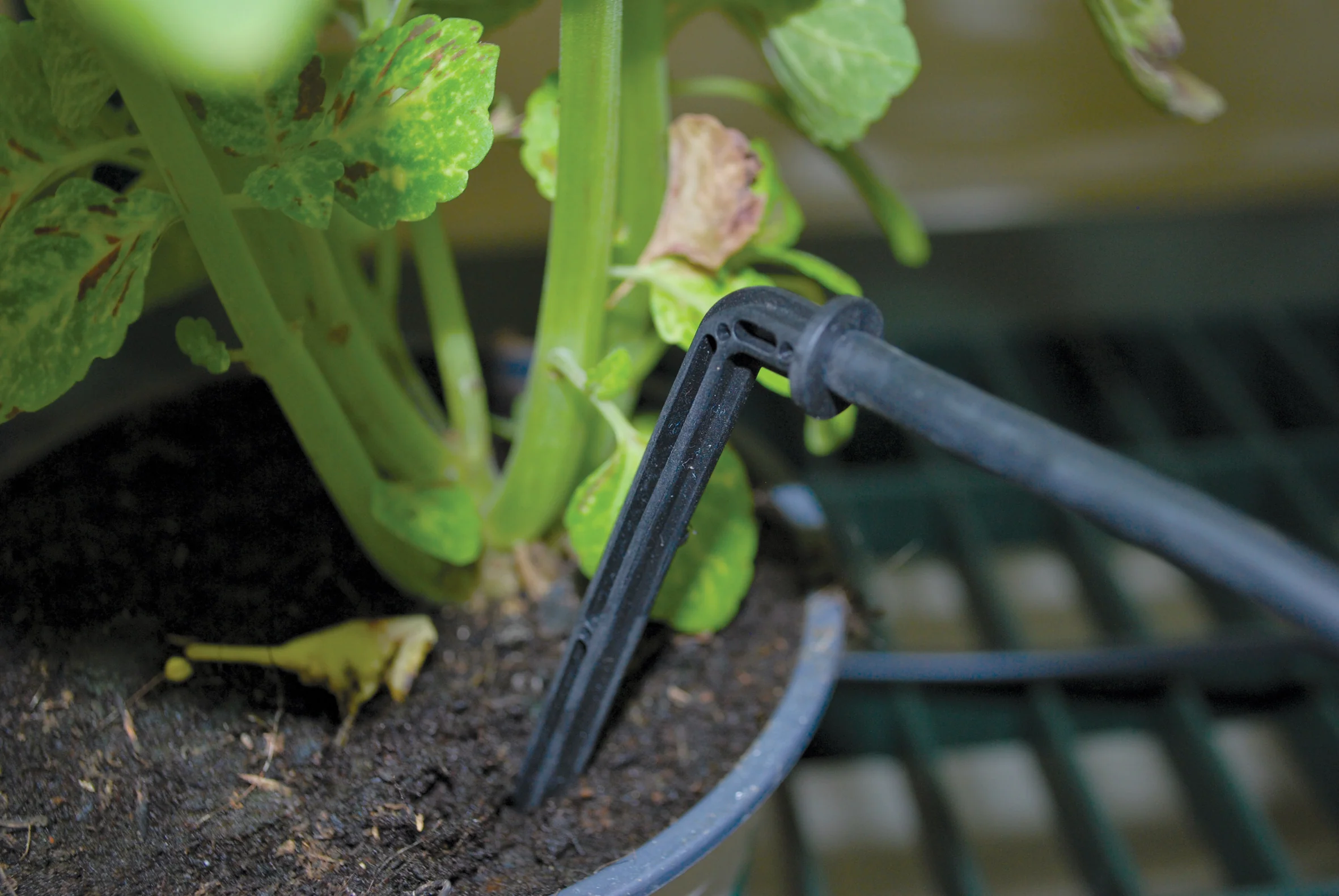 Drip Irrigation Kit - Image 3