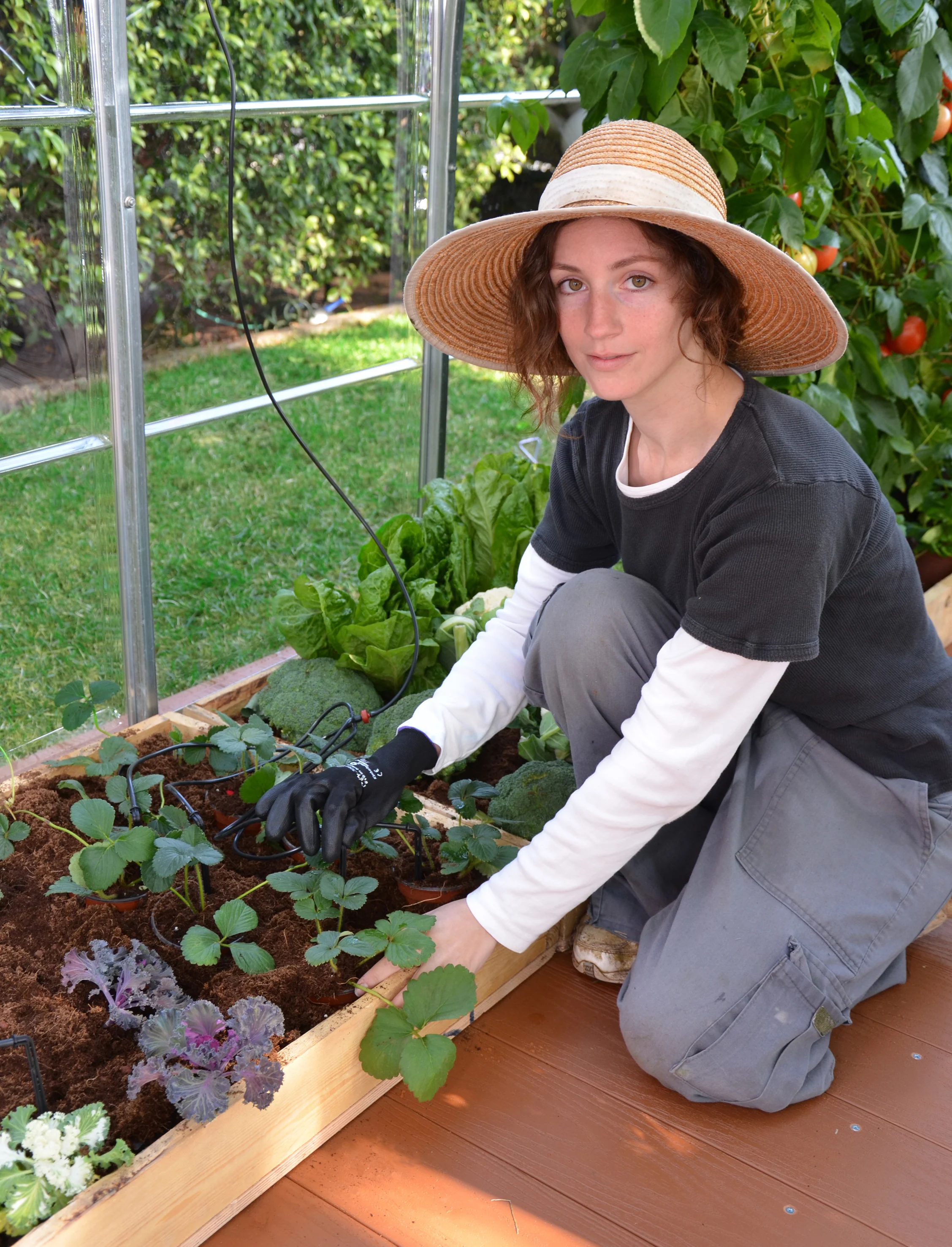 Drip Irrigation Kit - Image 4