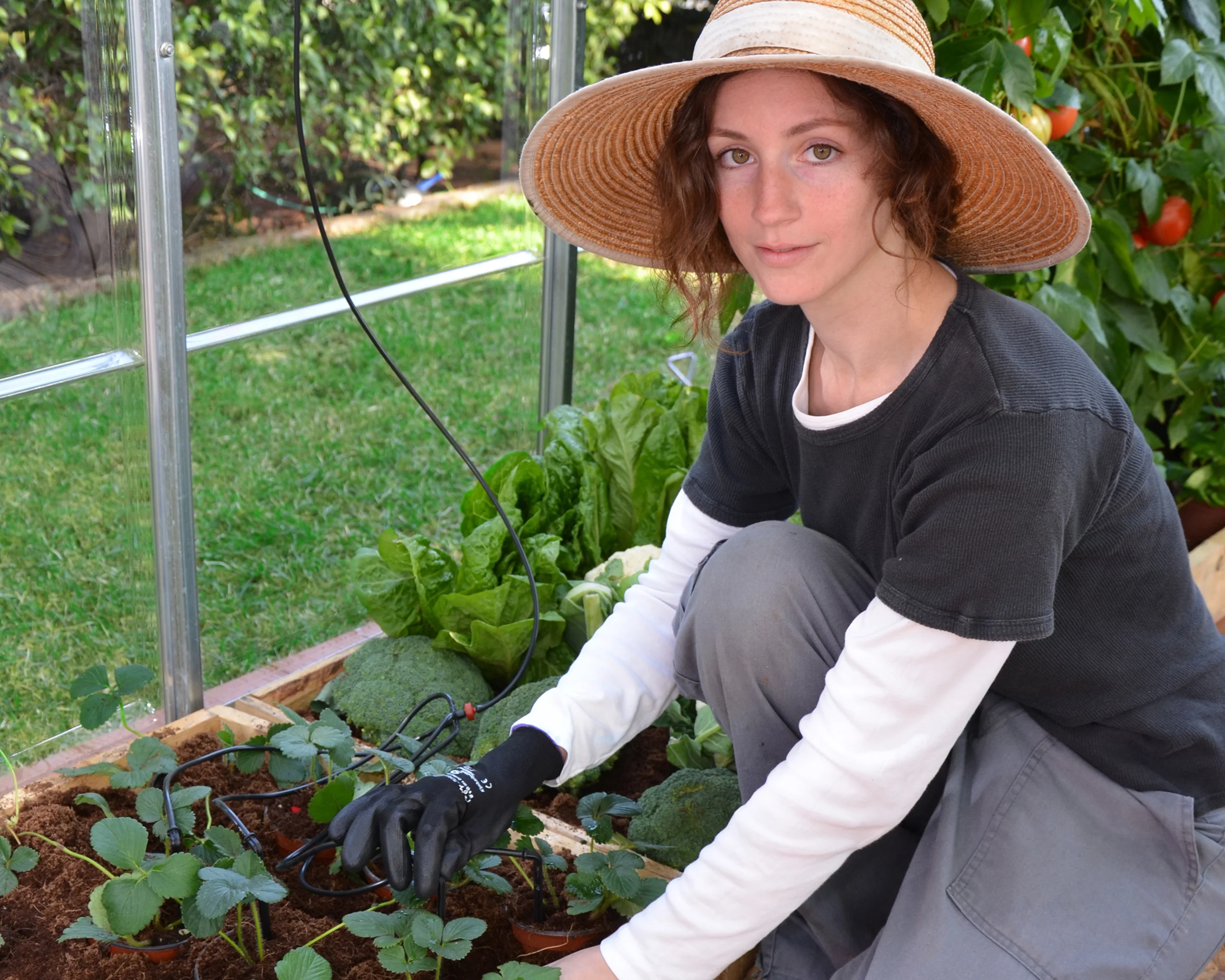 Drip Irrigation Kit - Image 8