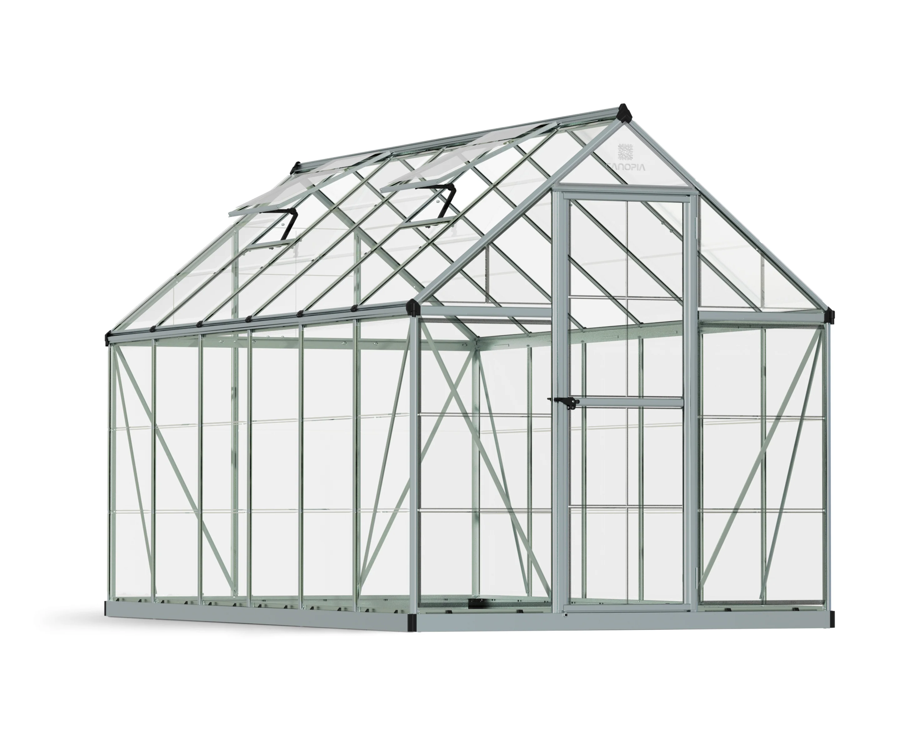 Harmony 6' x 12' Greenhouse - Silver Frame & Clear Polycarbonate Panels - Image 16