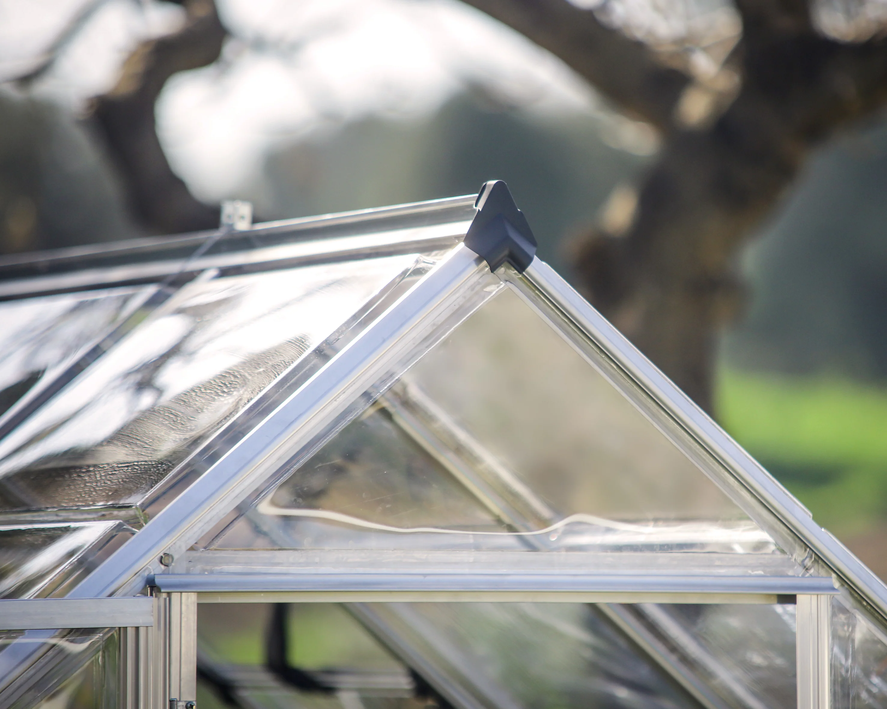 Harmony 6' x 12' Greenhouse - Silver Frame & Clear Polycarbonate Panels - Image 8