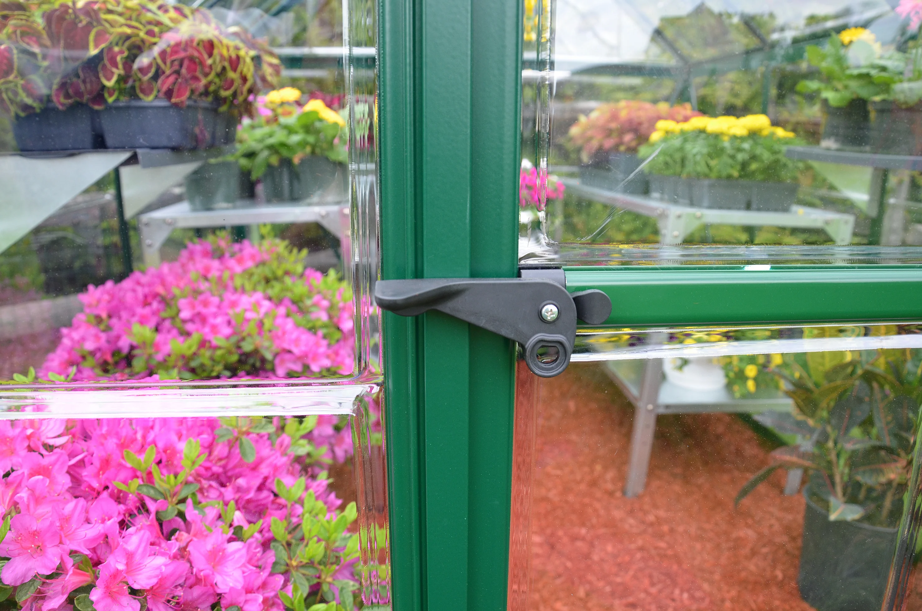 Harmony 6' x 14' Greenhouse - Green Frame & Clear Polycarbonate Panels - Image 2