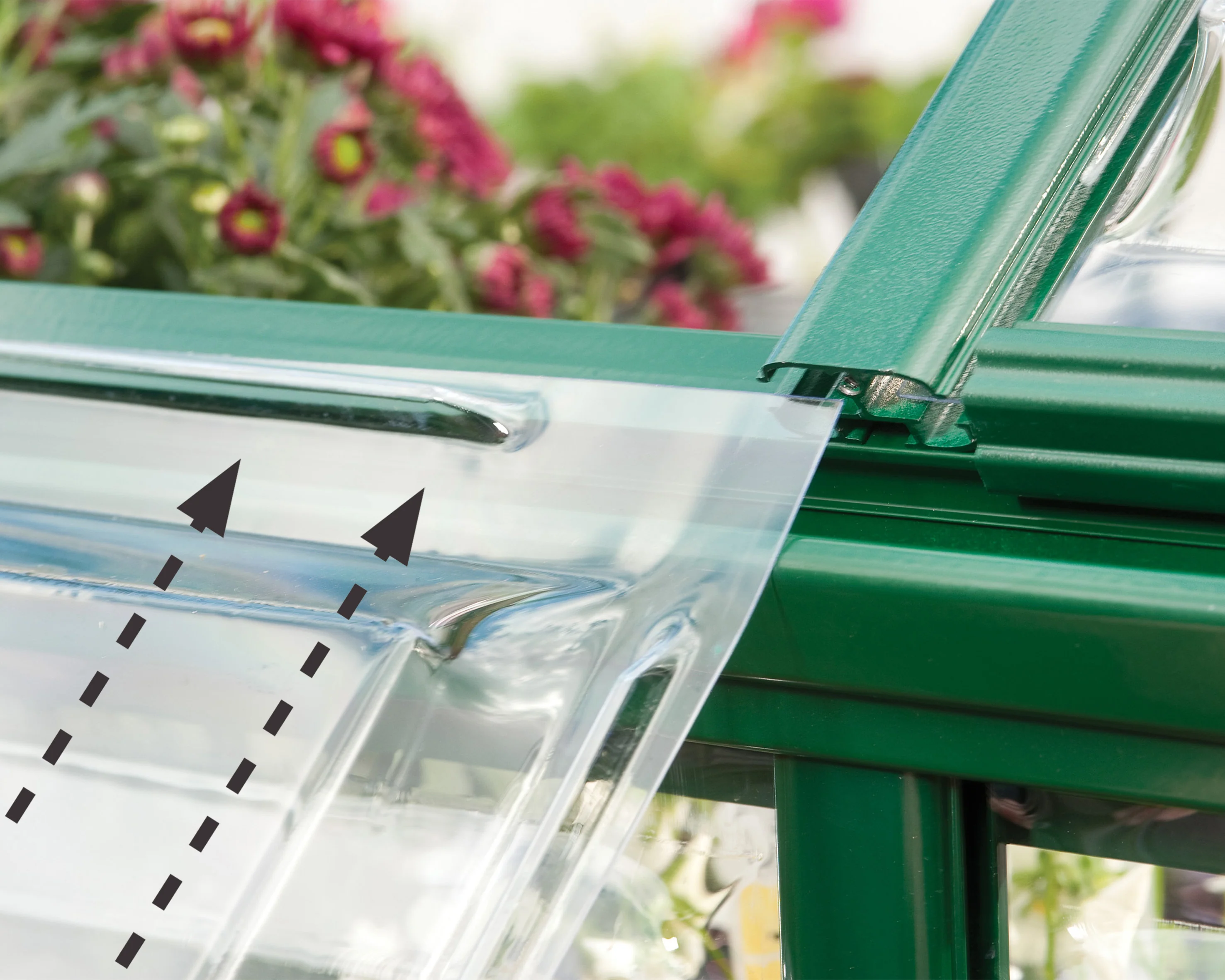 Harmony 6' x 14' Greenhouse - Green Frame & Clear Polycarbonate Panels - Image 3
