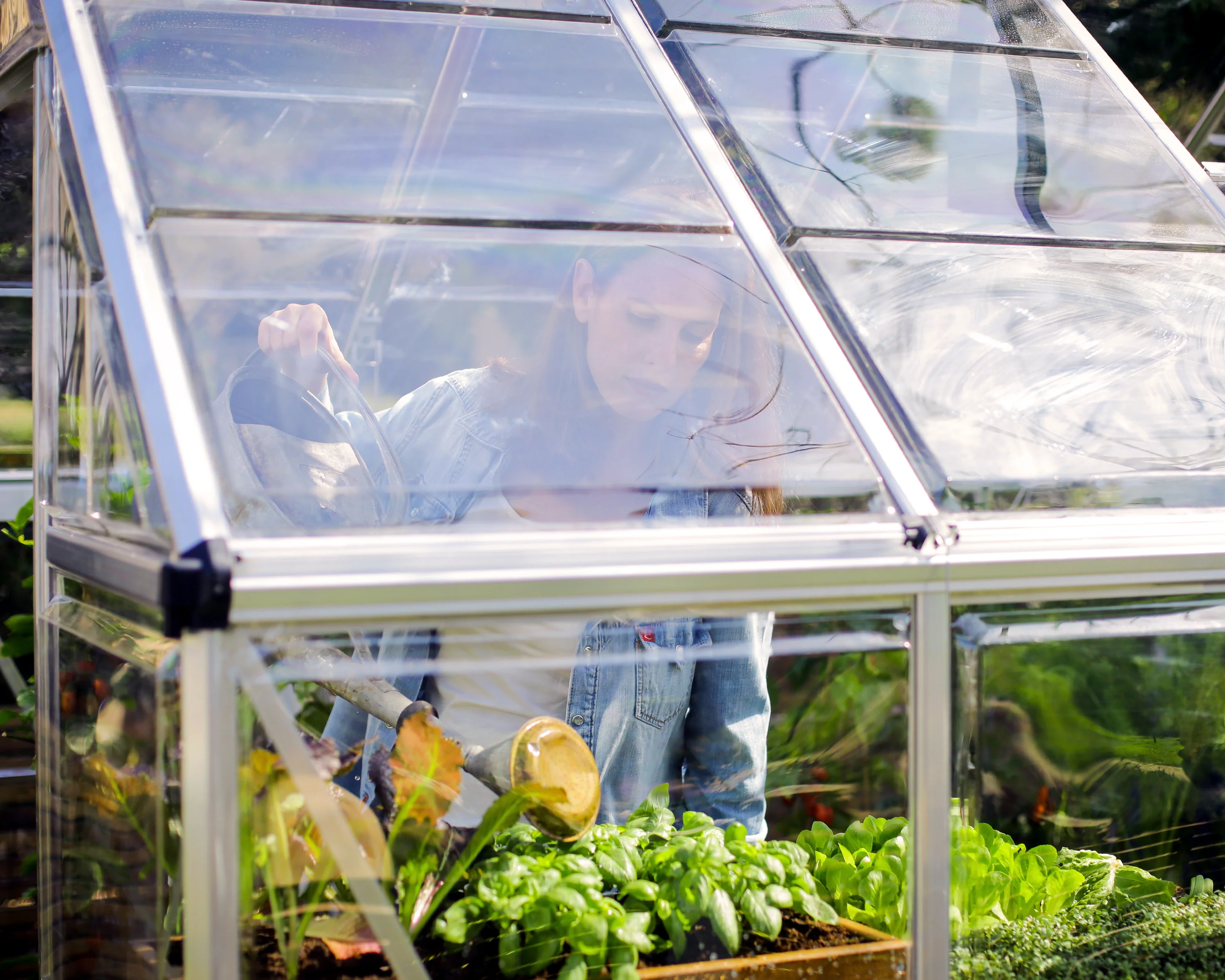 Harmony 6' x 10' Greenhouse - Silver Frame & Clear Polycarbonate Panels - Image 9