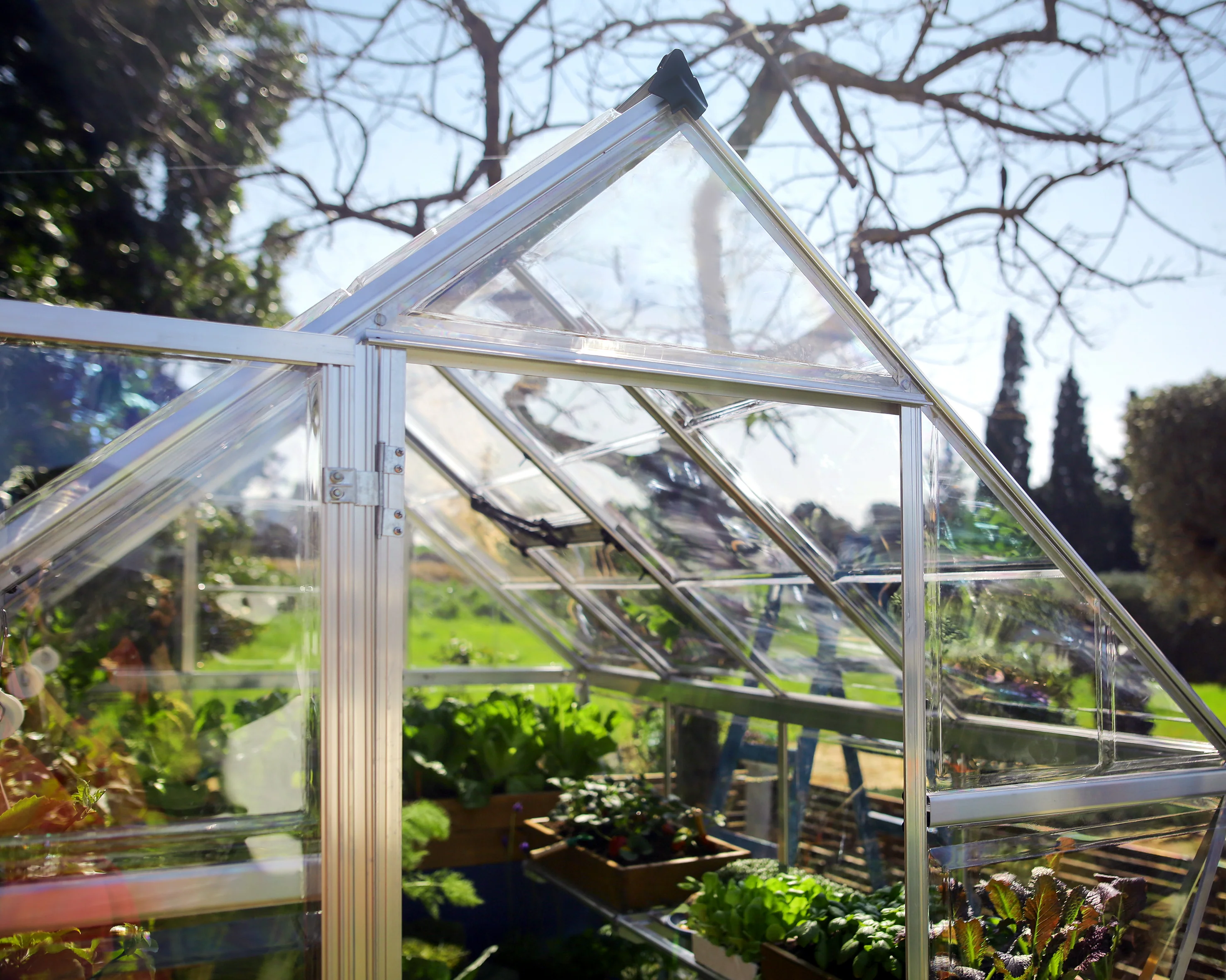 Harmony 6' x 14' Greenhouse - Silver Frame & Clear Polycarbonate Panels - Image 12