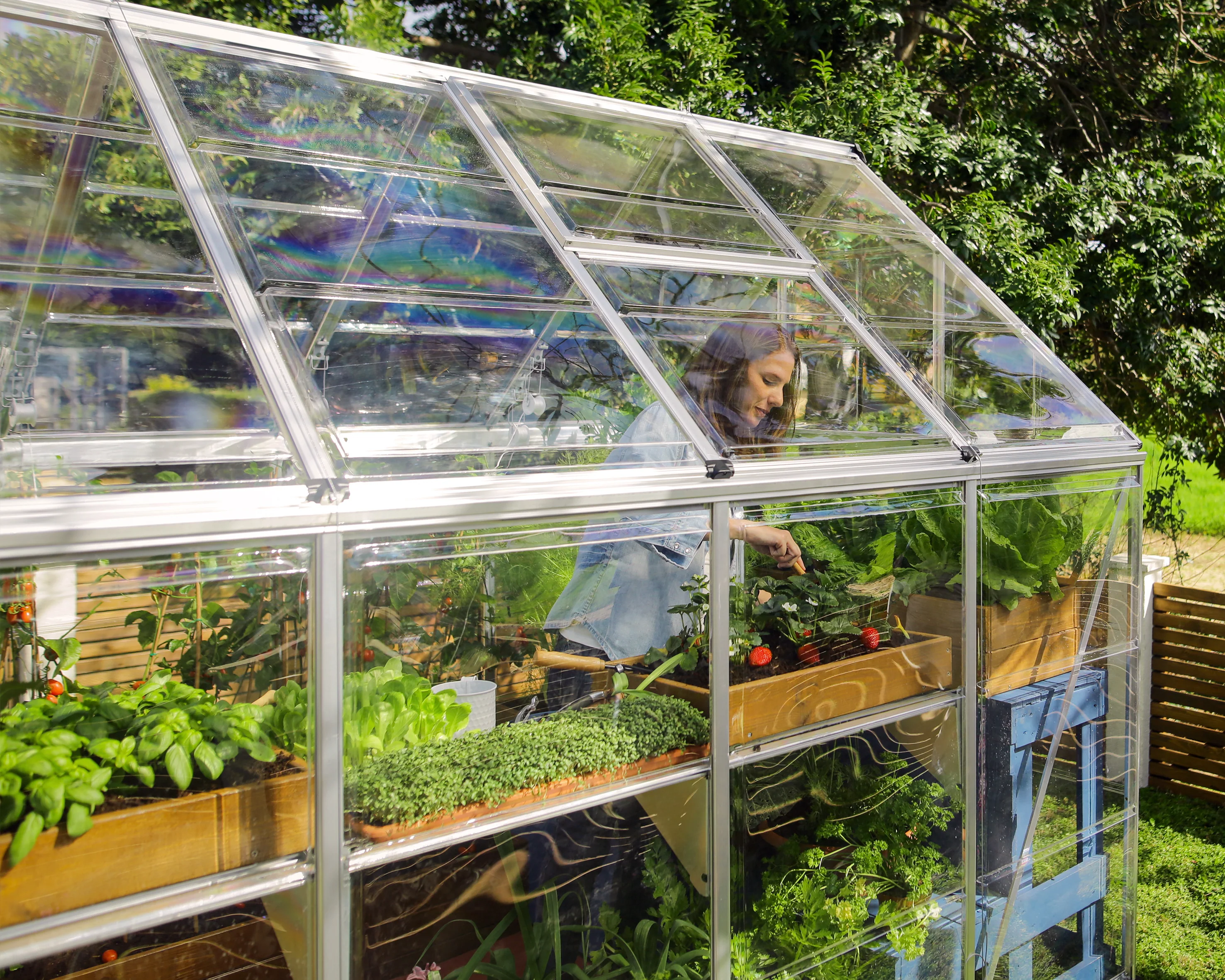 Harmony 6' x 14' Greenhouse - Silver Frame & Clear Polycarbonate Panels - Image 2