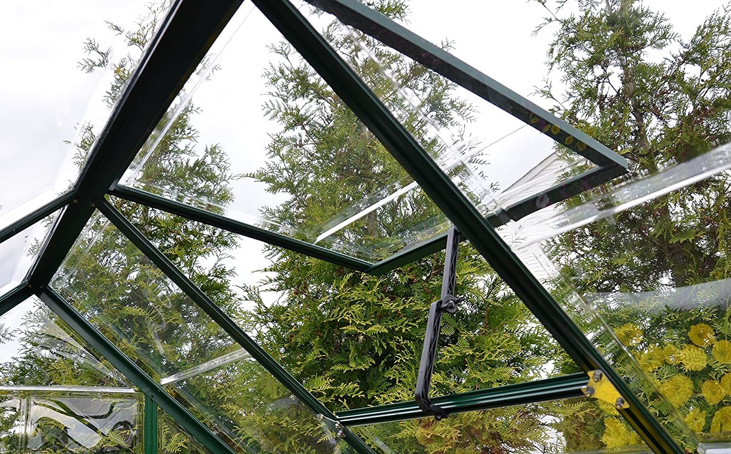 Harmony 6' x 6' Greenhouse - Green Frame & Clear Polycarbonate Panels - Image 2