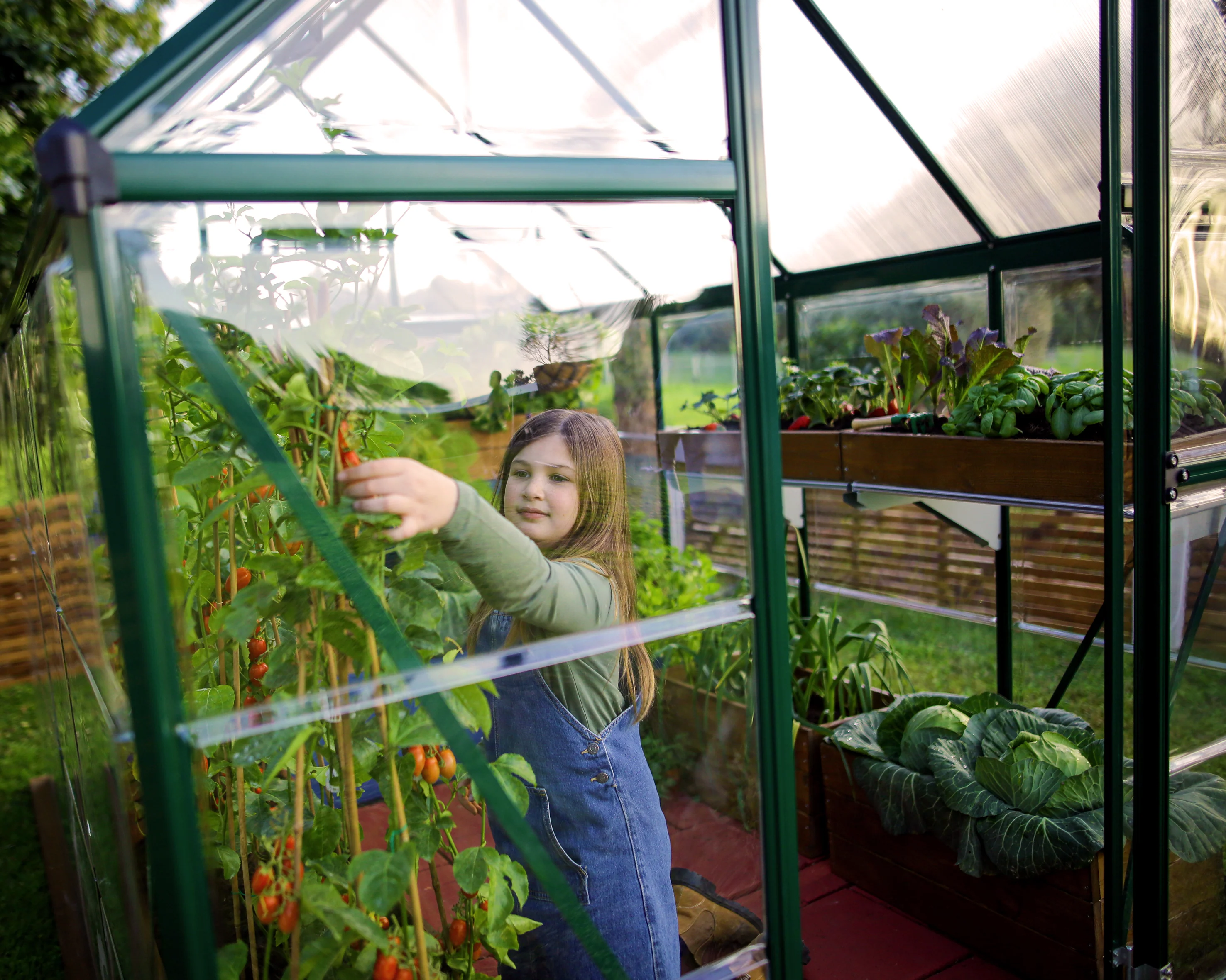 Hybrid 6' x 12' Greenhouse - Green Frame & Hybrid Polycarbonate Panels - Image 10