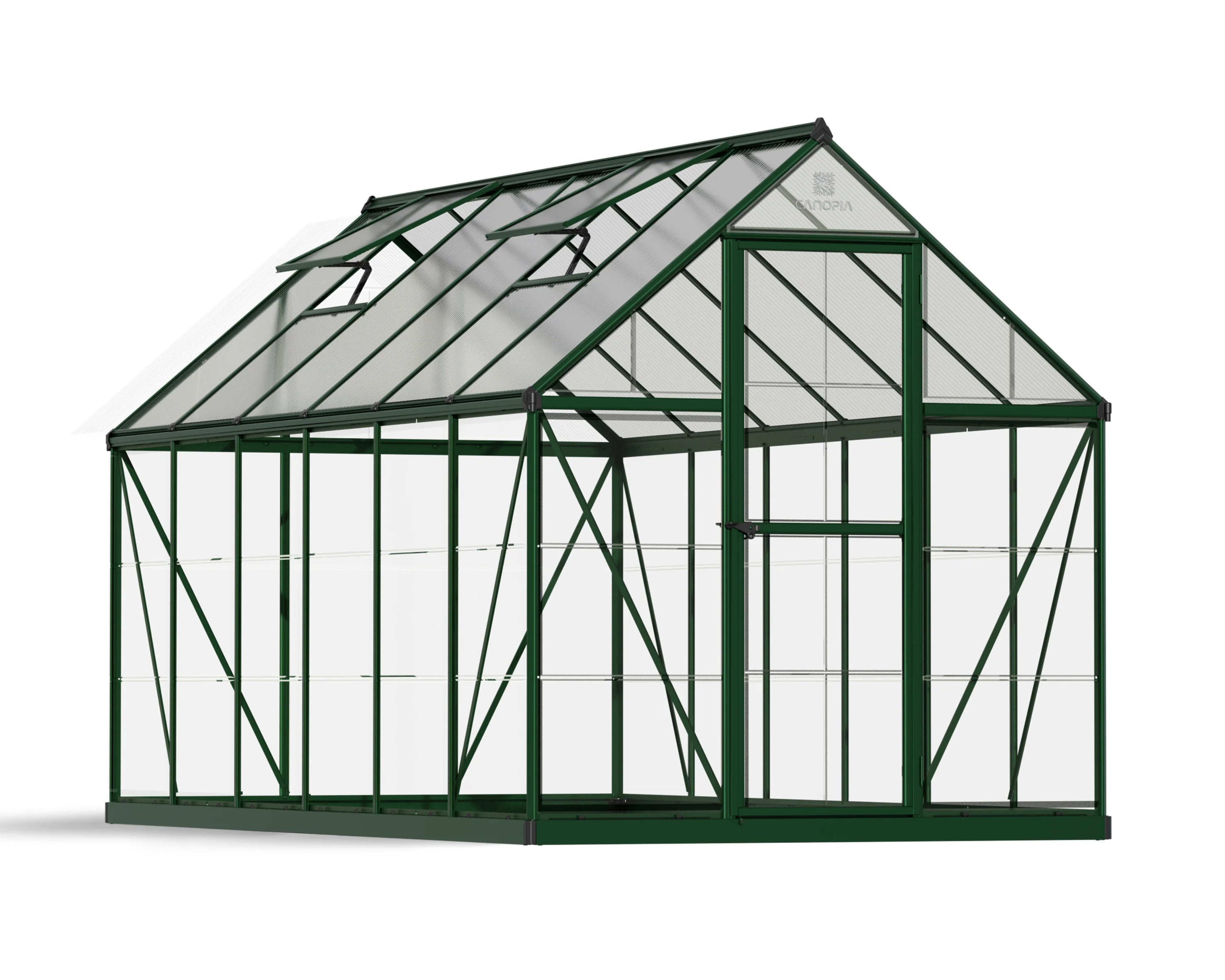 Hybrid 6' x 12' Greenhouse - Green Frame & Hybrid Polycarbonate Panels - Image 13