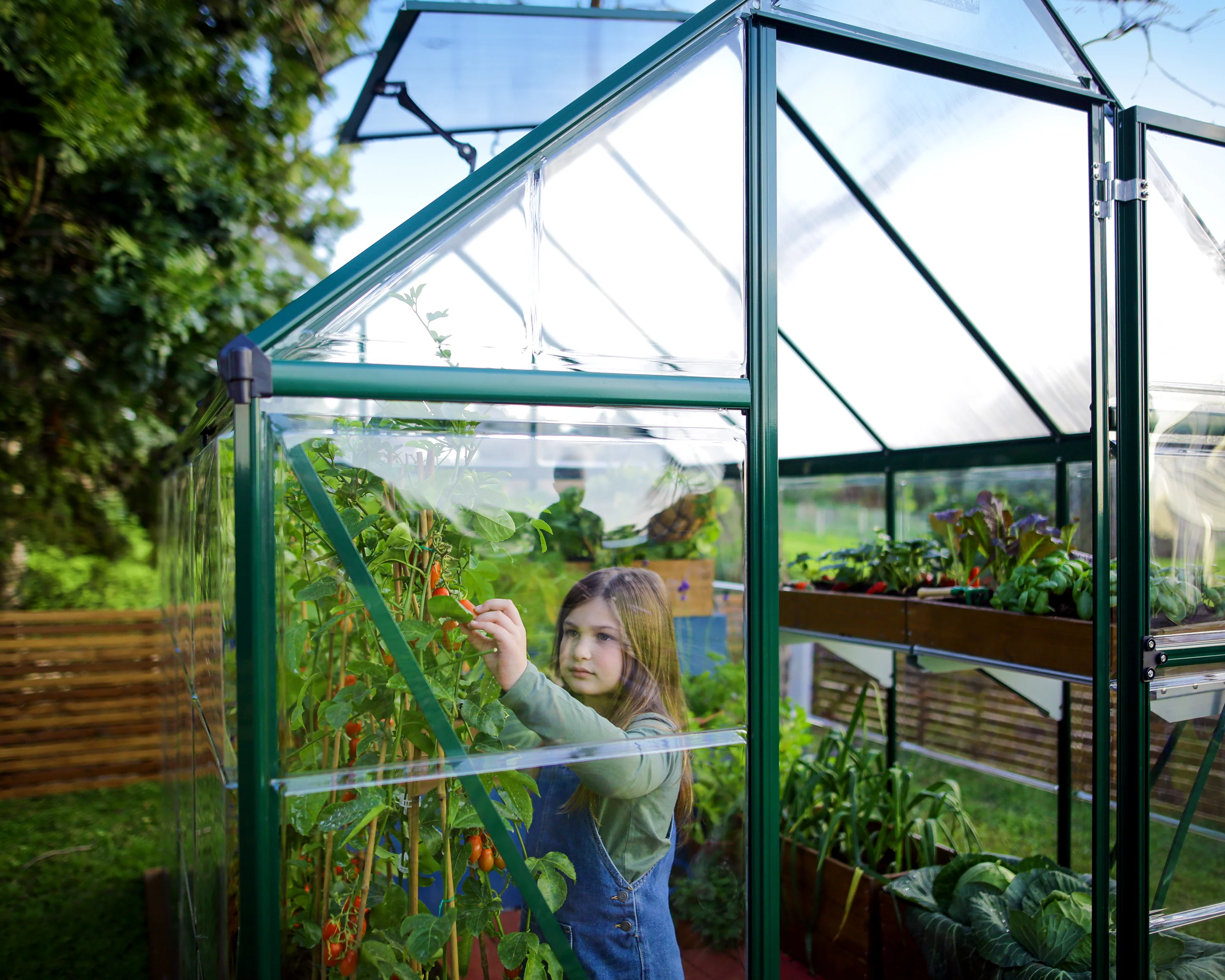 Hybrid 6' x 4' Greenhouse - Green Frame & Hybrid Polycarbonate Panels - Image 2