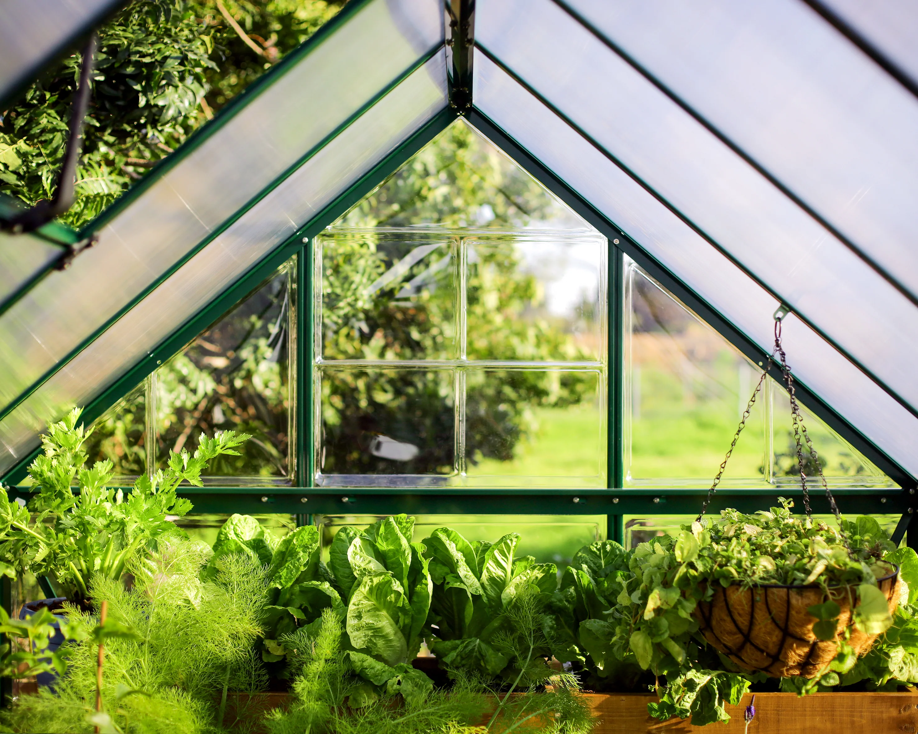 Hybrid 6' x 4' Greenhouse - Green Frame & Hybrid Polycarbonate Panels - Image 6