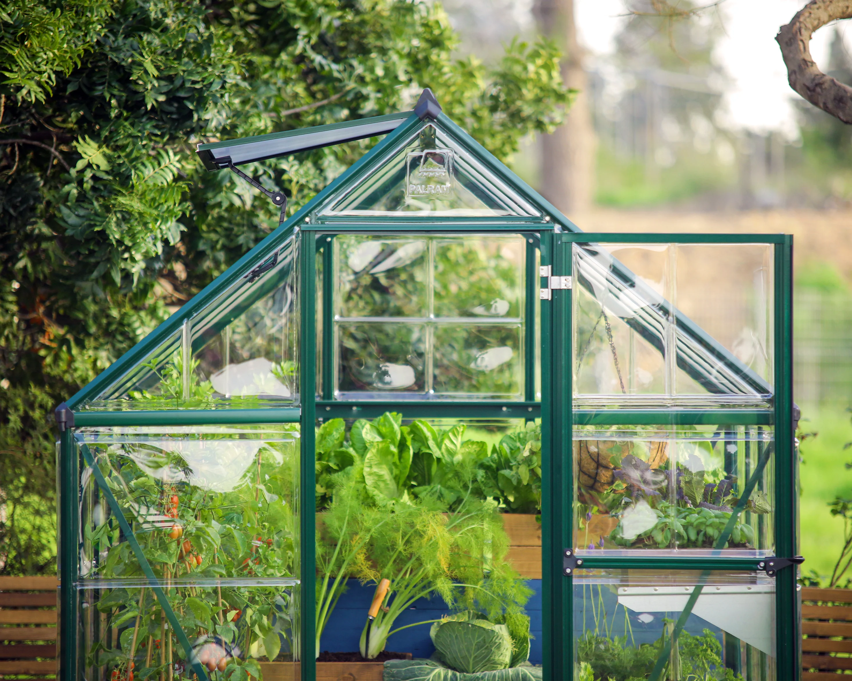 Hybrid 6' x 4' Greenhouse - Green Frame & Hybrid Polycarbonate Panels - Image 7