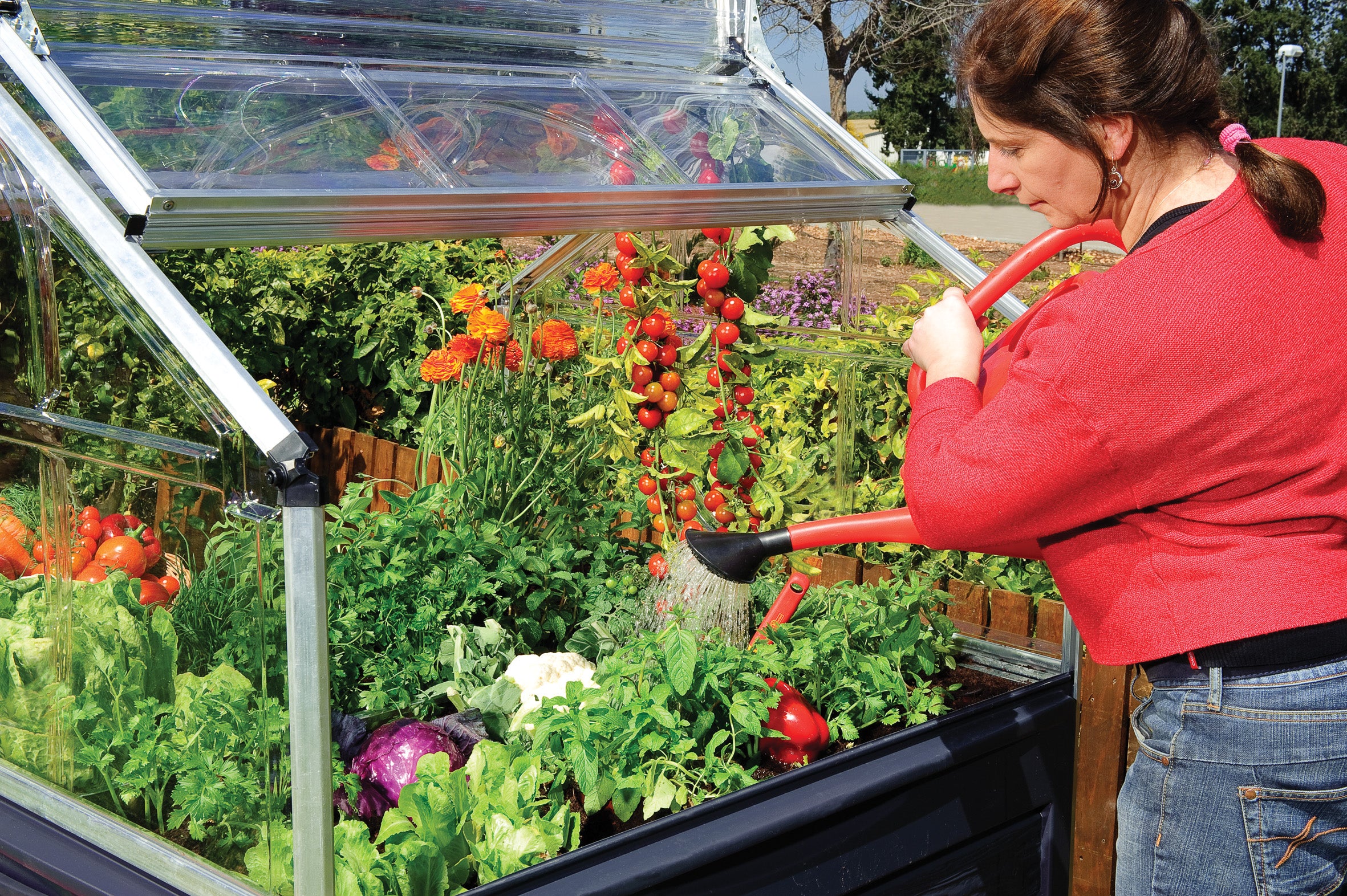 Plant Inn 4' x 4' Greenhouse - Silver Frame & Clear Polycarbonate Panels - Image 11