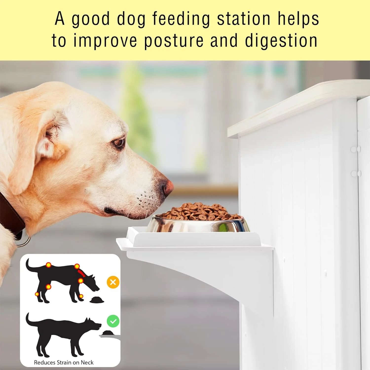 Rocky Dog Food Storage Container Cabinet - Image 7