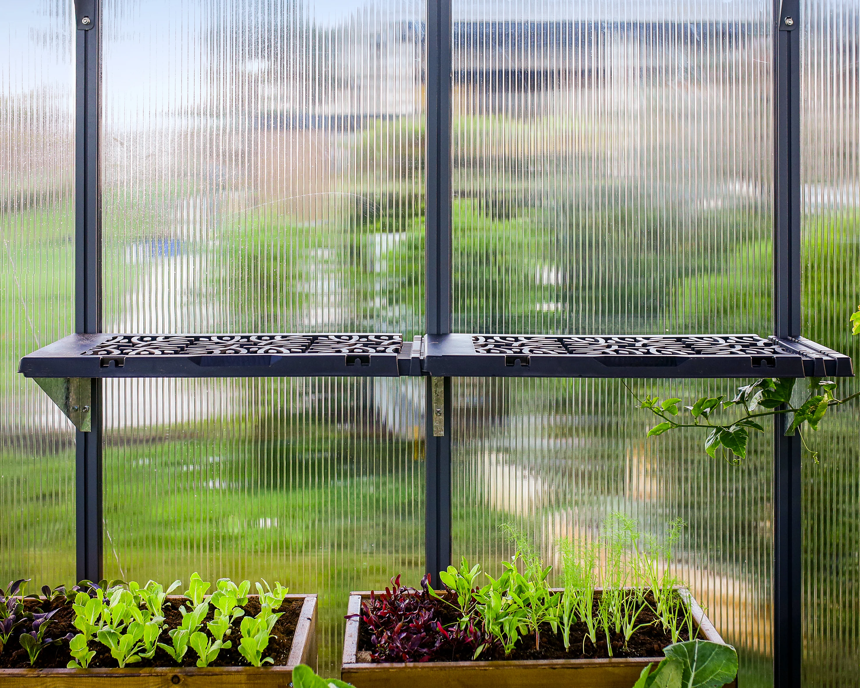 Signature Greenhouse Shelf - Pack of 2 - Image 10