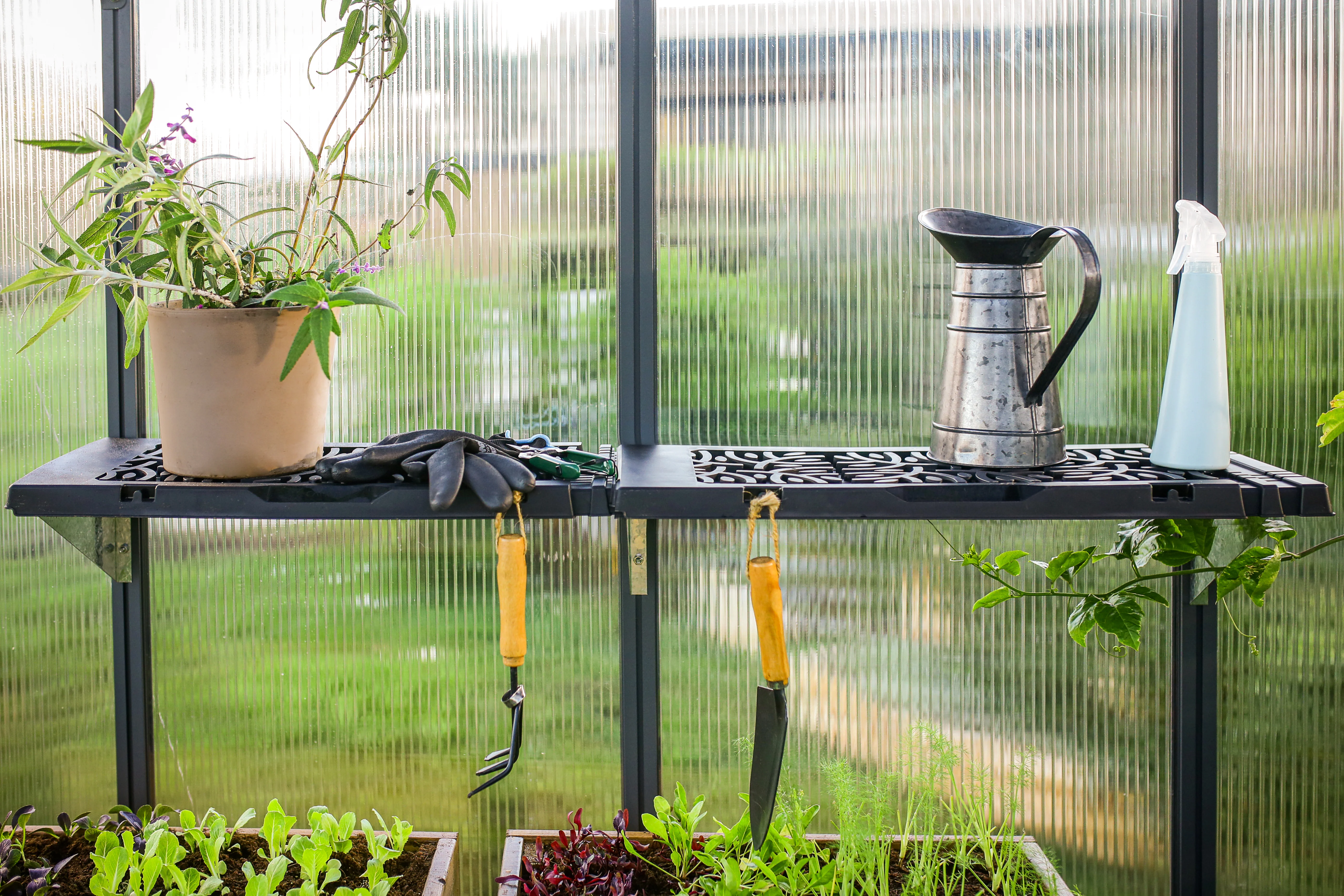 Signature Greenhouse Shelf - Pack of 2 - Image 8