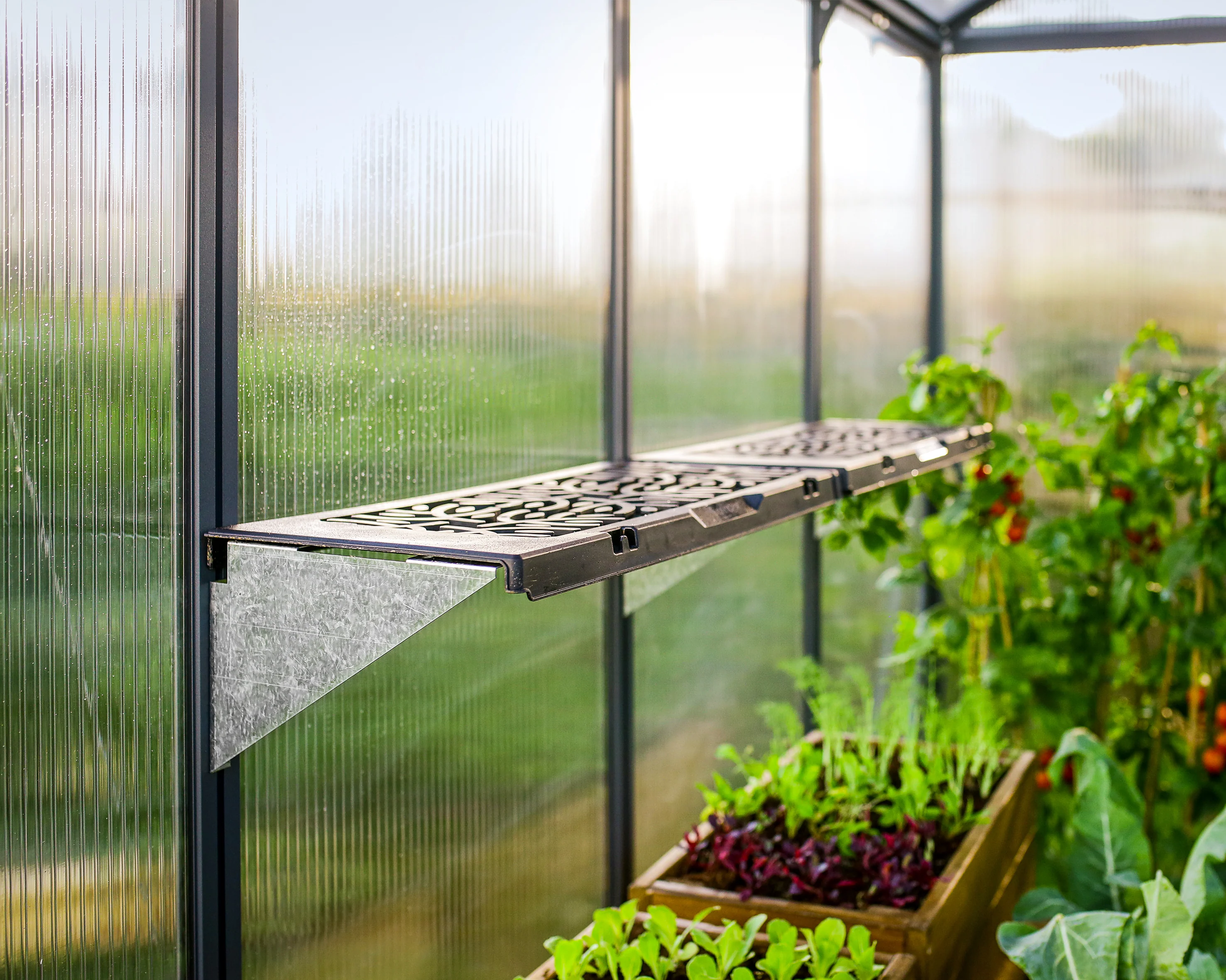 Signature Greenhouse Shelf - Pack of 2 - Image 9