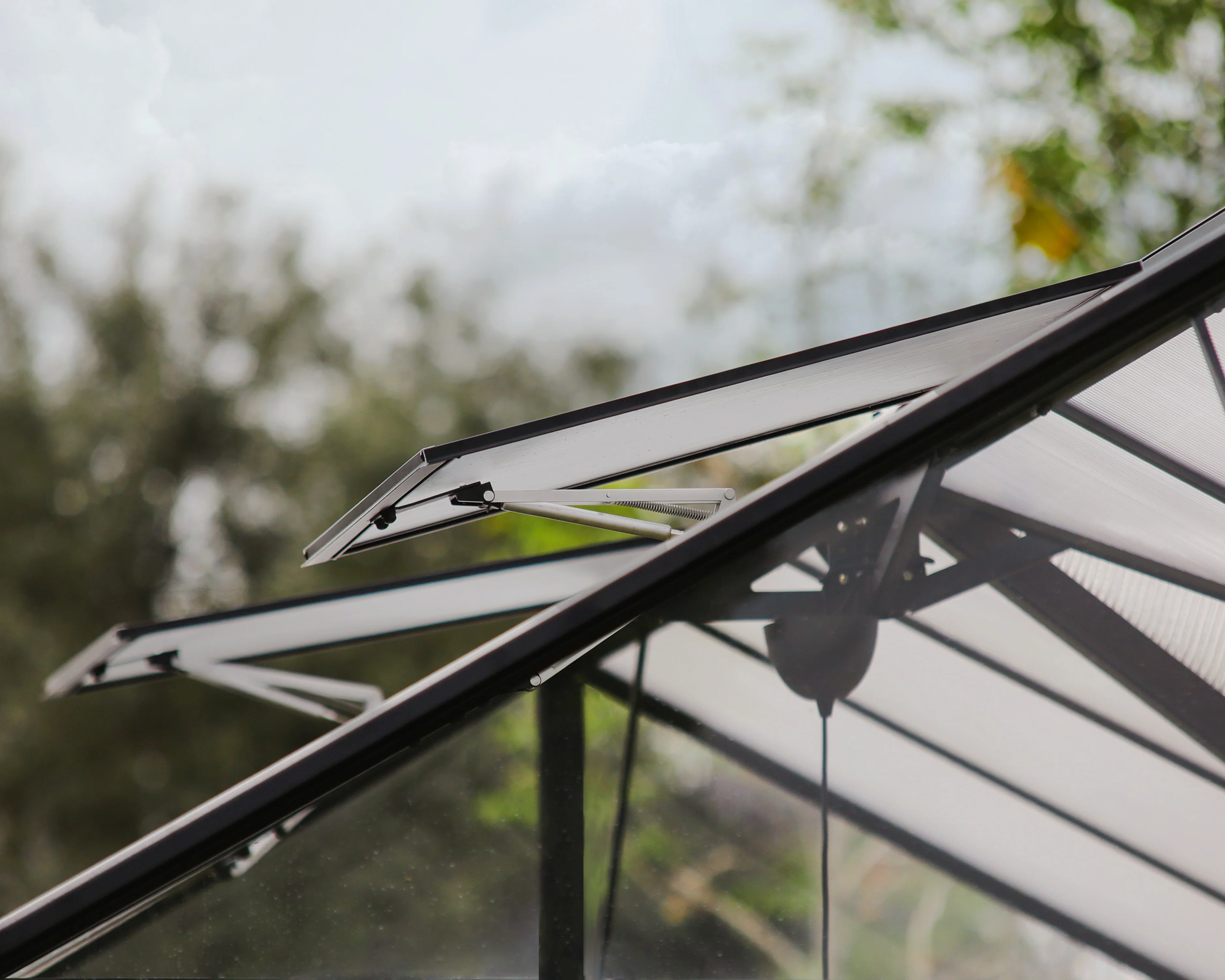 Triomphe 13' x 15' Greenhouse - Black Aluminium Frame & Clear Polycarbonate Panels - Image 18