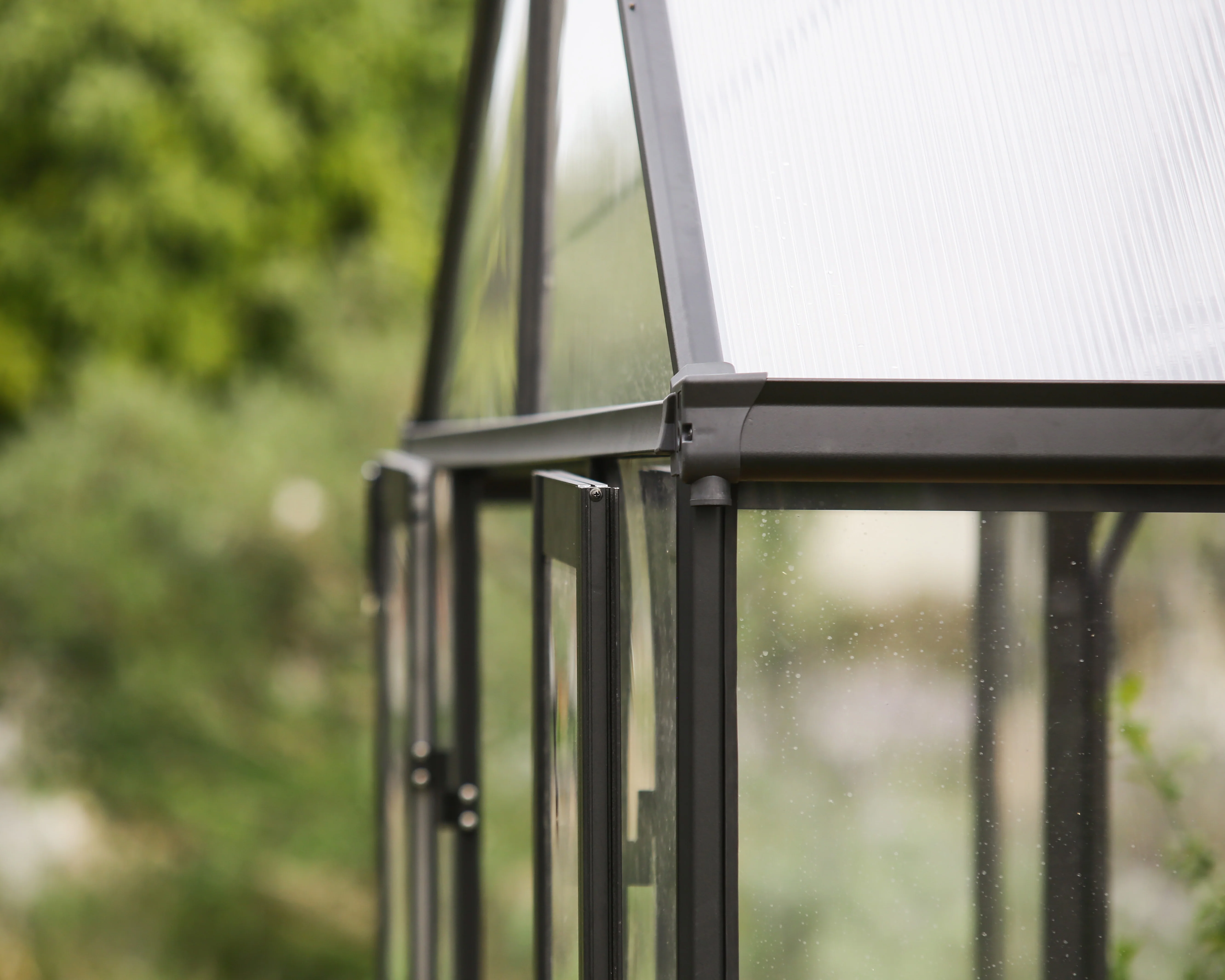 Triomphe 13' x 15' Greenhouse - Black Aluminium Frame & Clear Polycarbonate Panels - Image 3