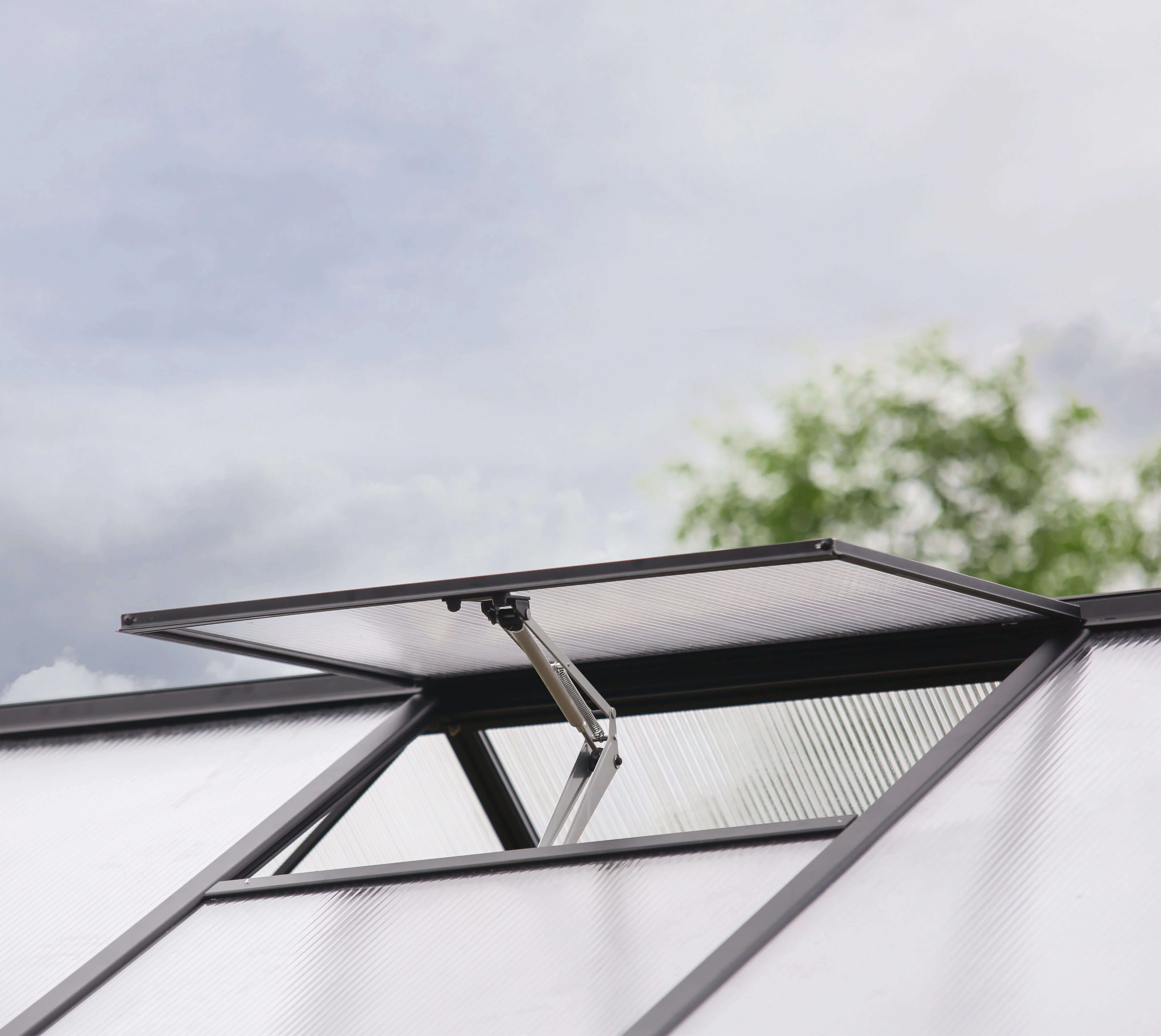 Triomphe 13' x 15' Greenhouse - Black Aluminium Frame & Clear Polycarbonate Panels - Image 7