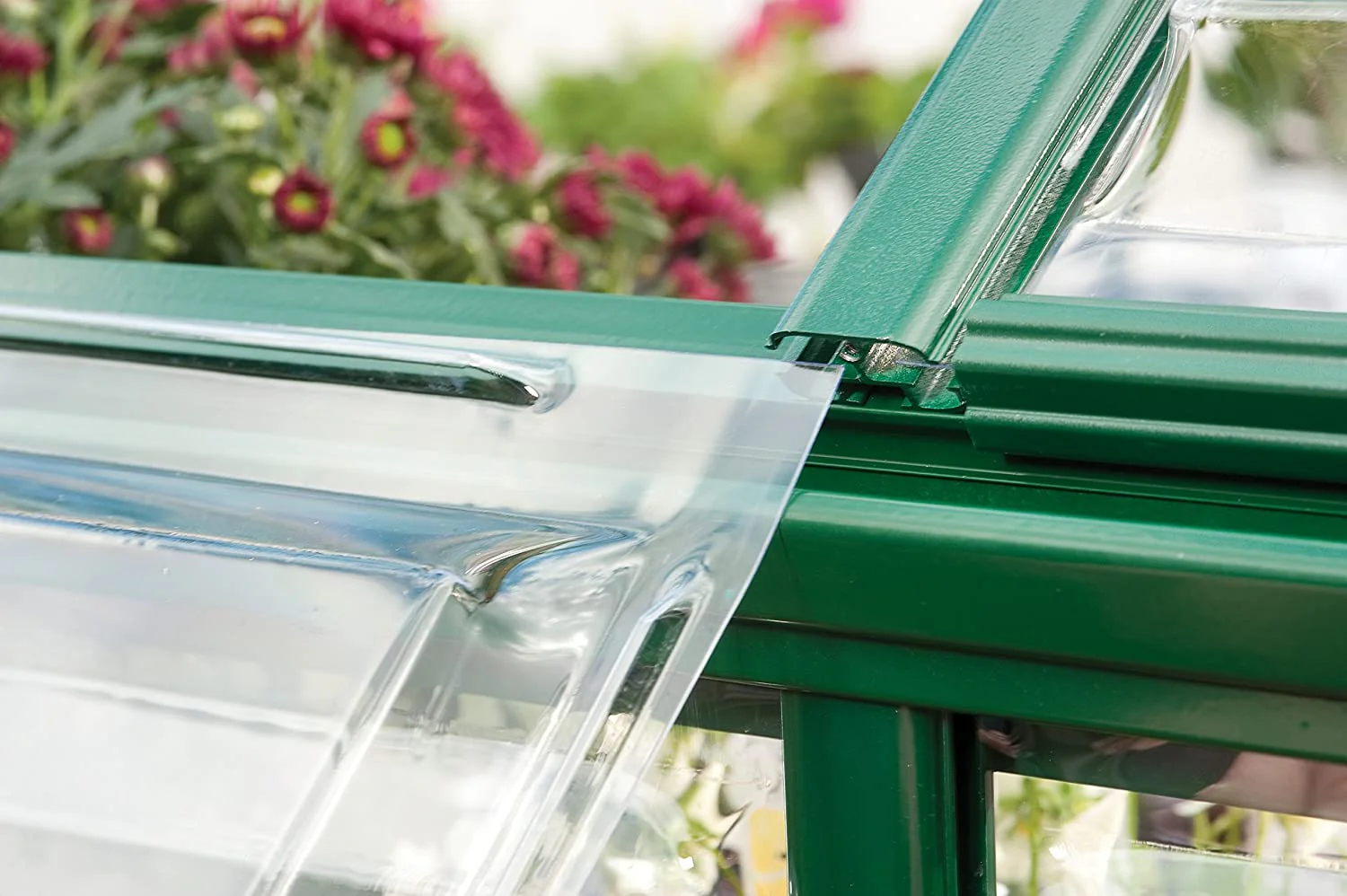 Harmony 6' x 10' Greenhouse - Green Frame & Clear Polycarbonate Panels - Image 3