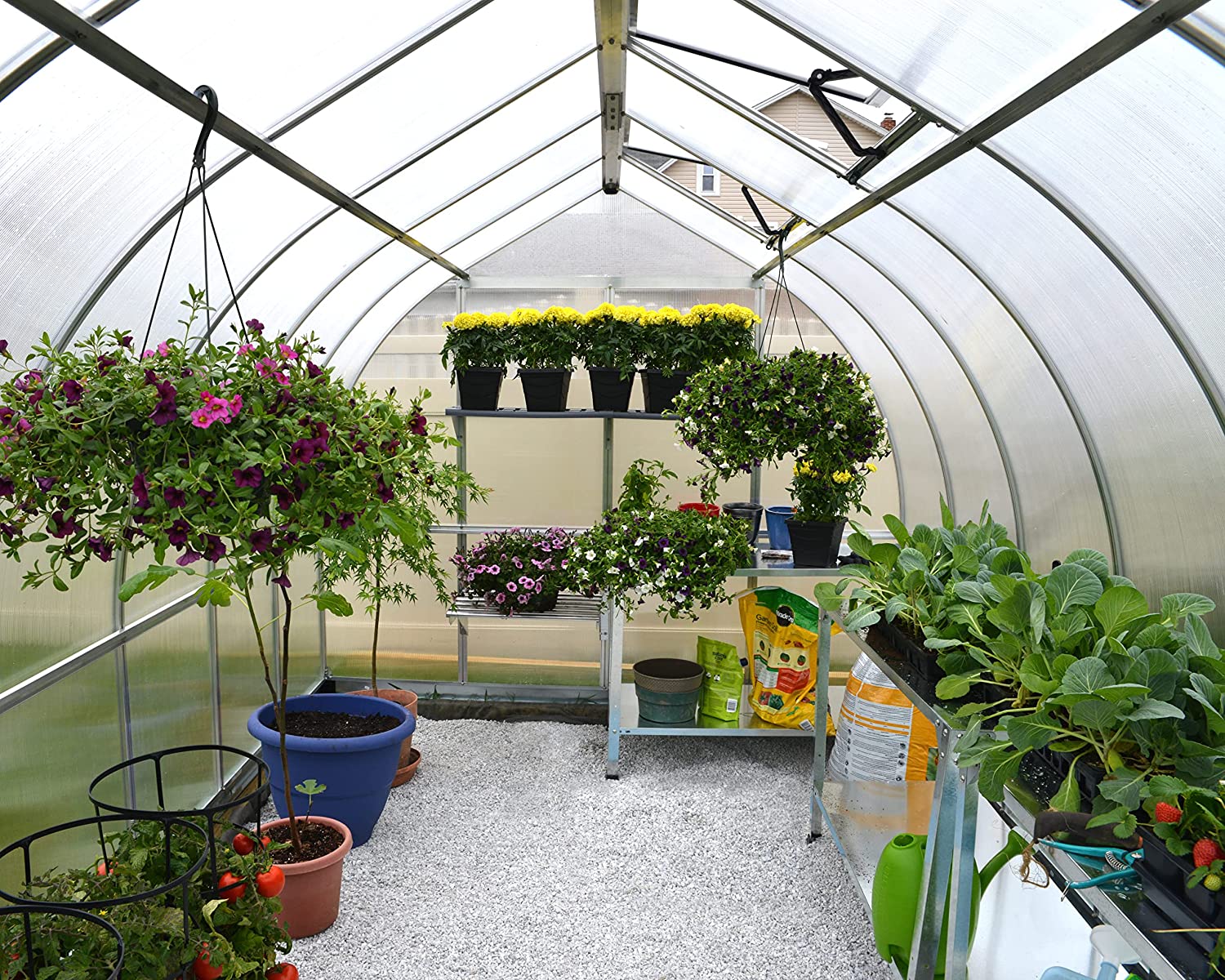 Bella 8' x 12' Greenhouse - Silver Frame & Twinwall Polycarbonate Panels - Image 2