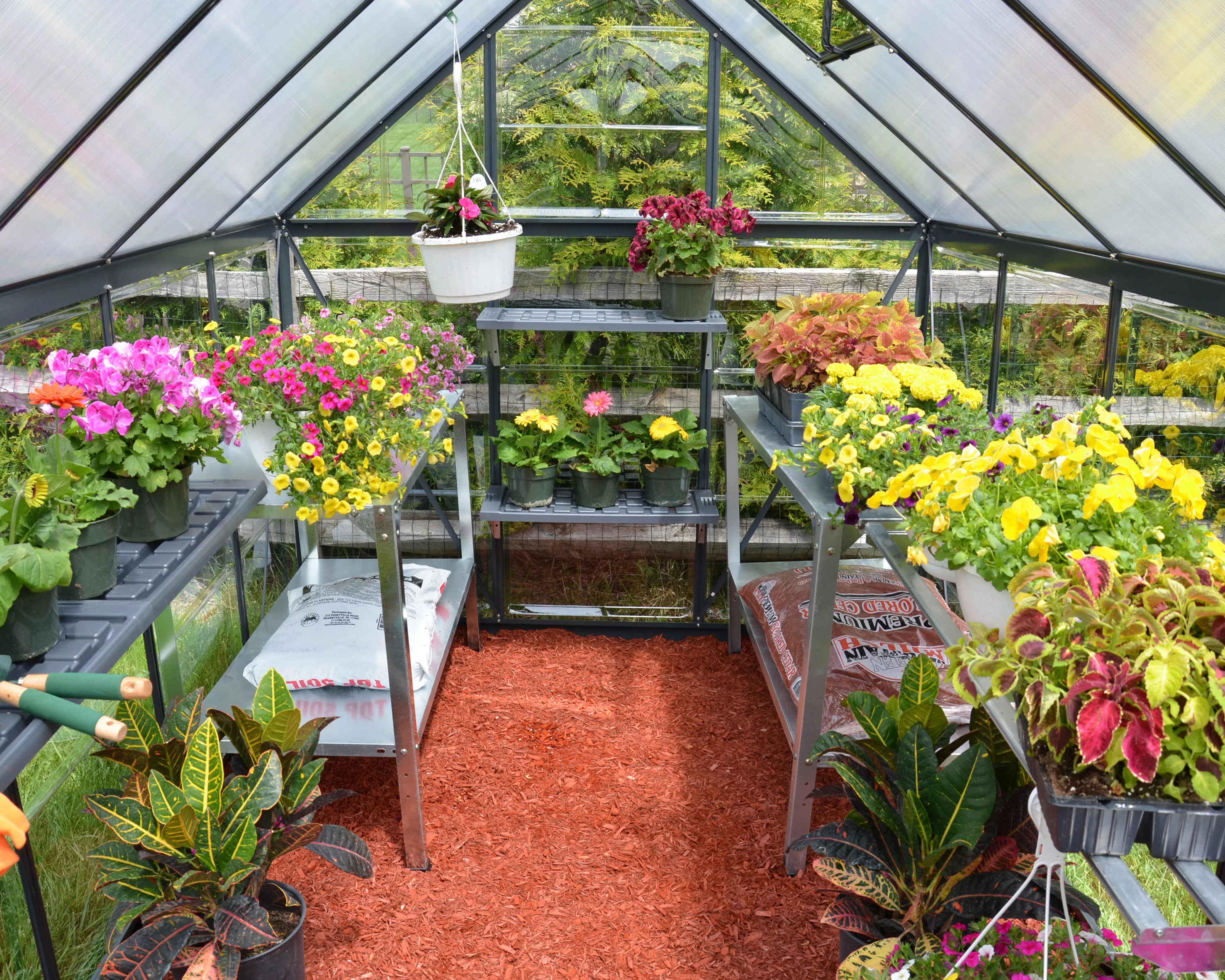 Hybrid 6' x 10' Greenhouse - Grey Frame & Hybrid Polycarbonate Panels - Image 2